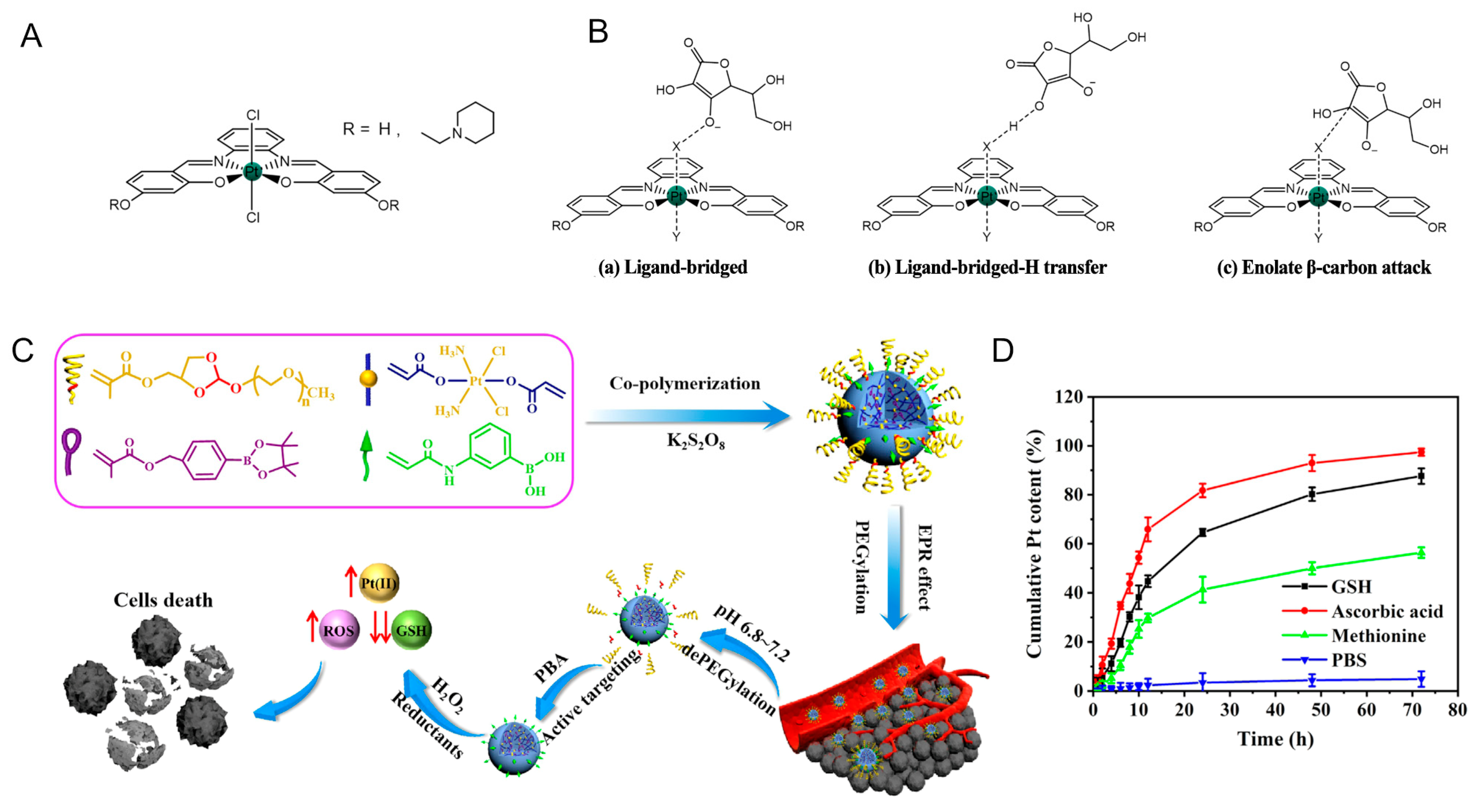 Molecules 29 00746 g009