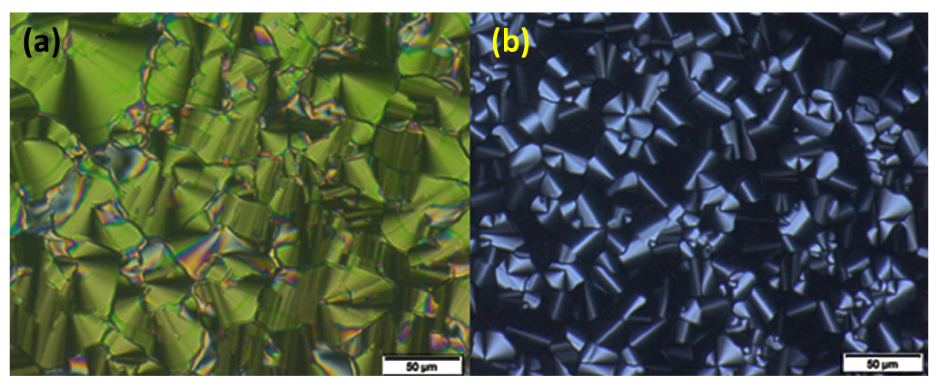 Molecules 29 00750 g003