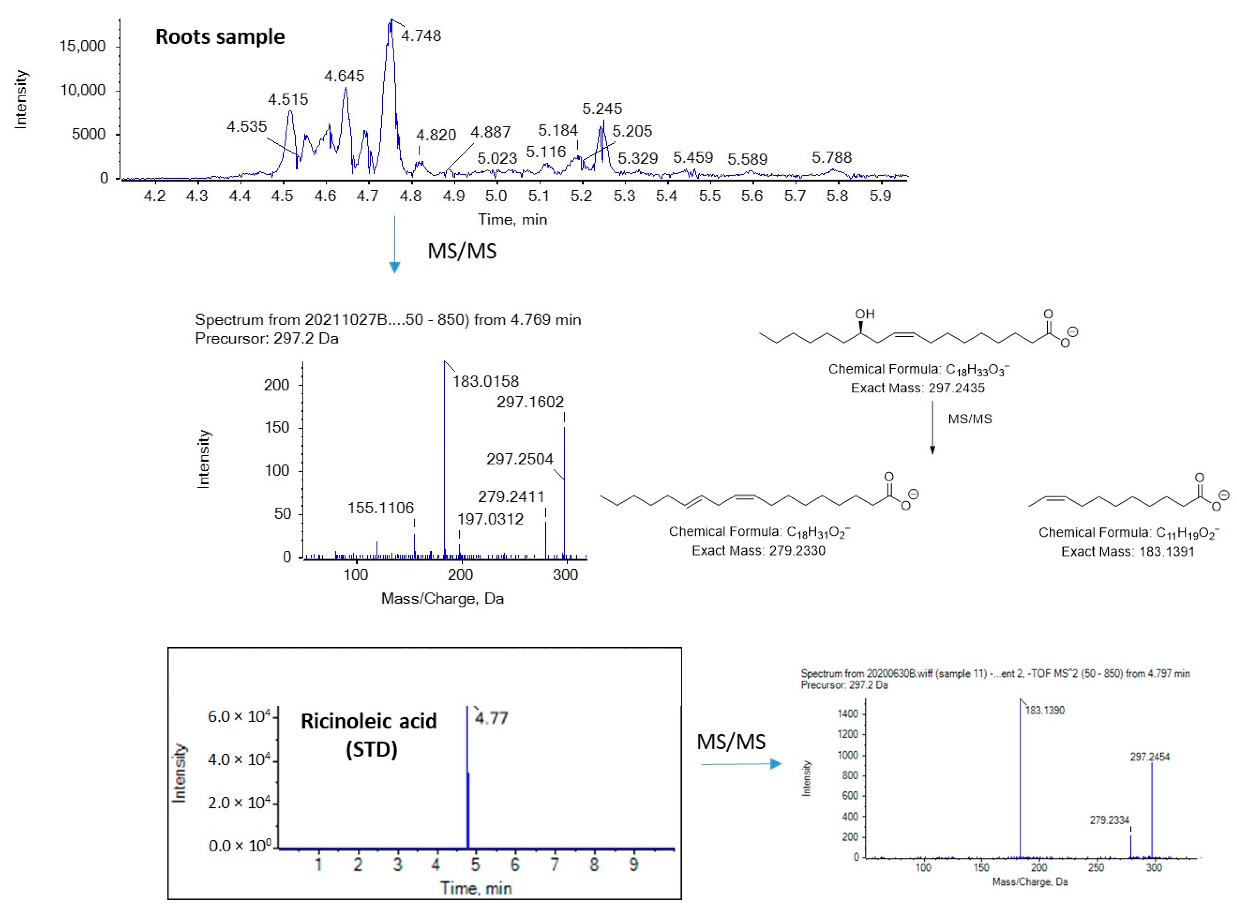Molecules 29 00754 g008