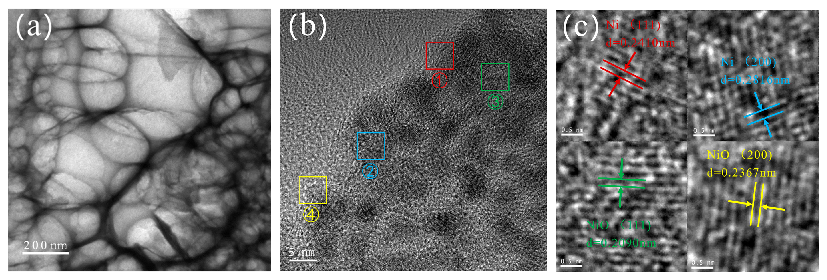 Molecules 29 00755 g004