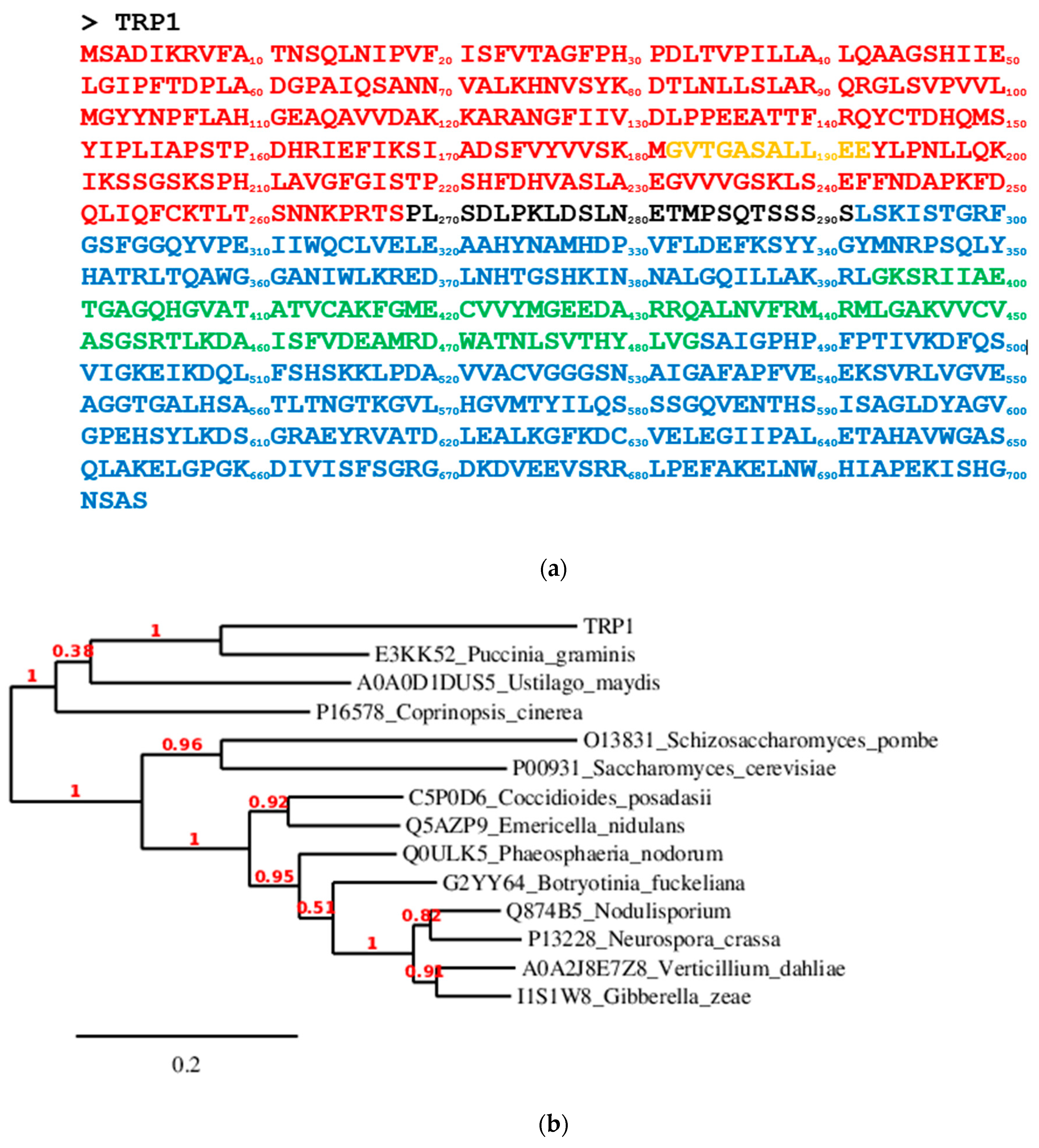 Molecules 29 00756 g001 Molecules 29 00756 g001