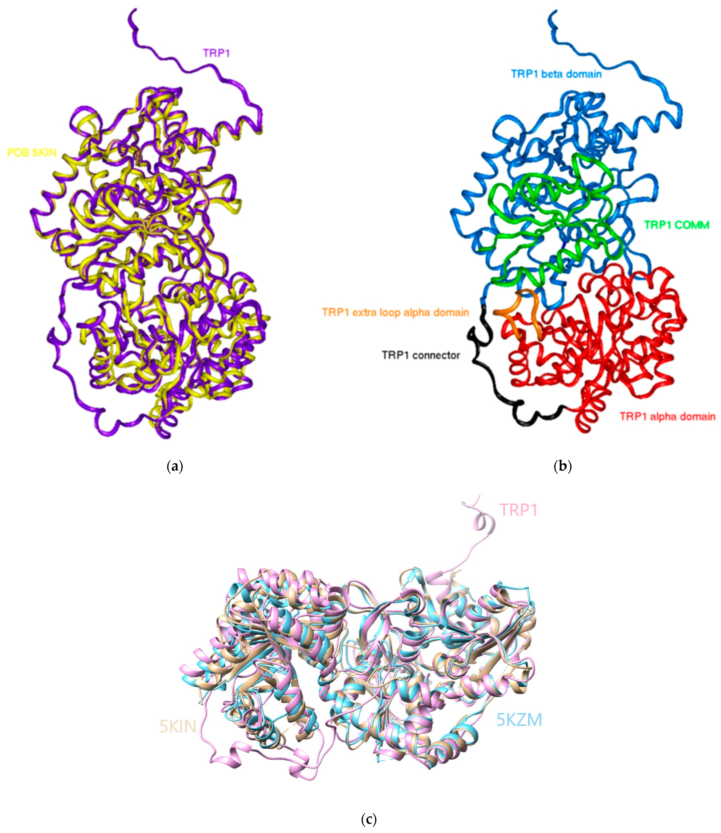 Molecules 29 00756 g004 Molecules 29 00756 g004