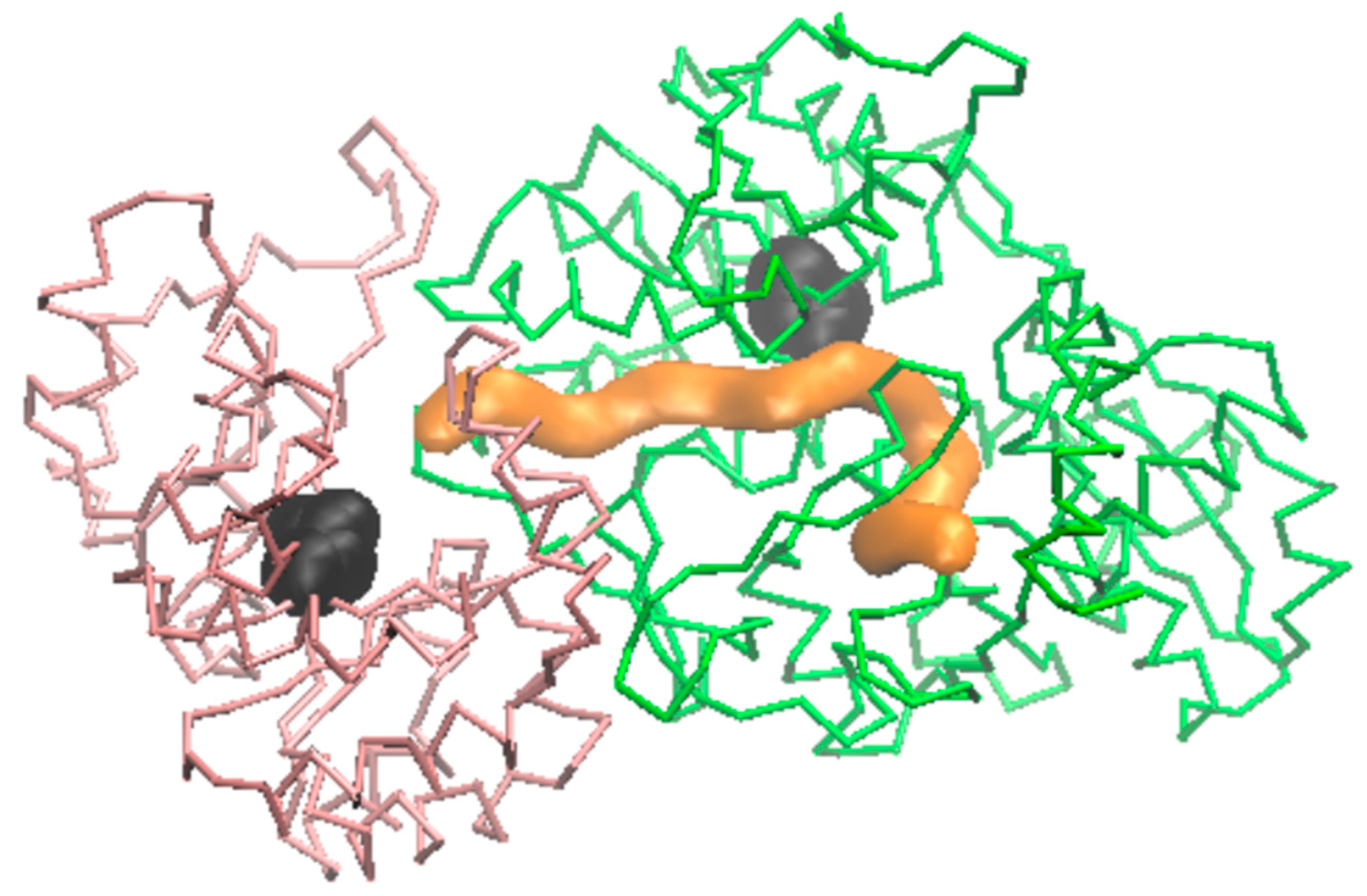 Molecules 29 00756 g010 Molecules 29 00756 g010