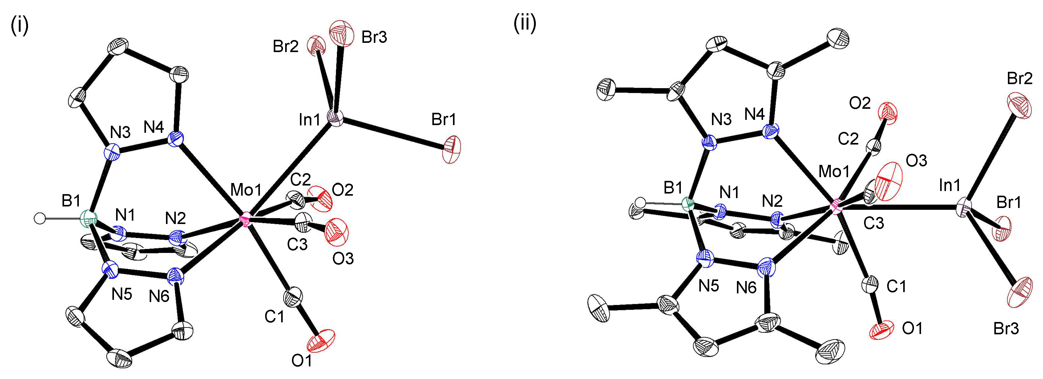 Molecules 29 00757 g003