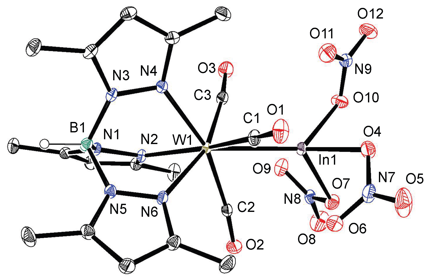 Molecules 29 00757 g005