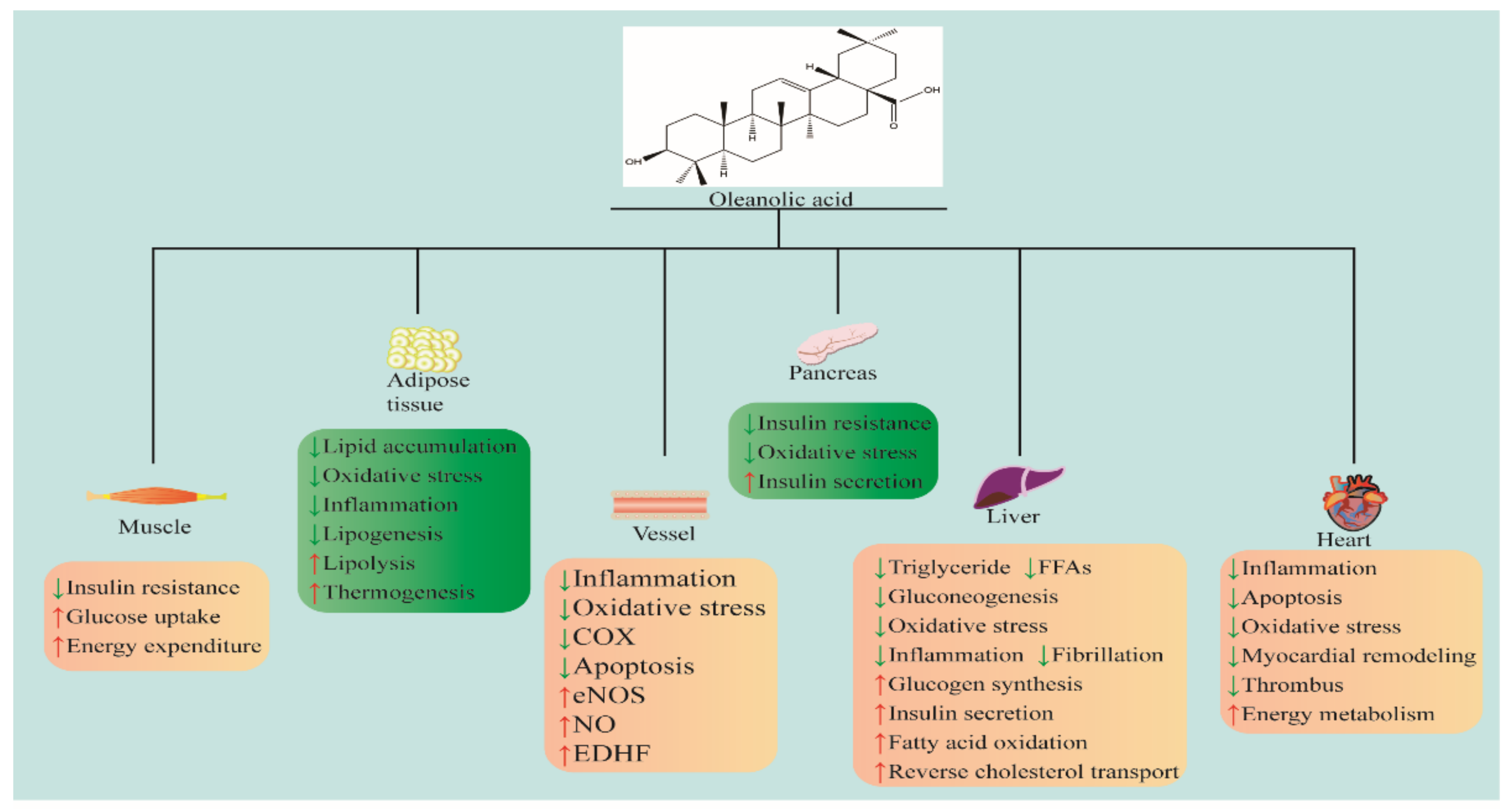 Molecules 29 00758 g001