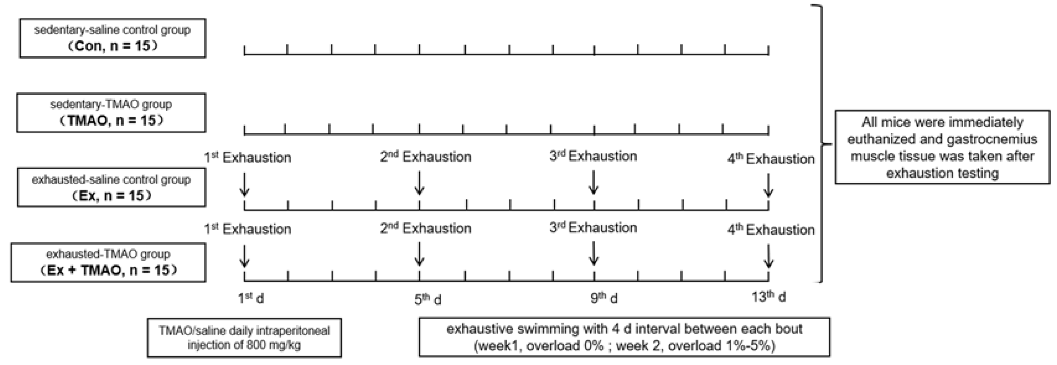 Molecules 29 00759 g007