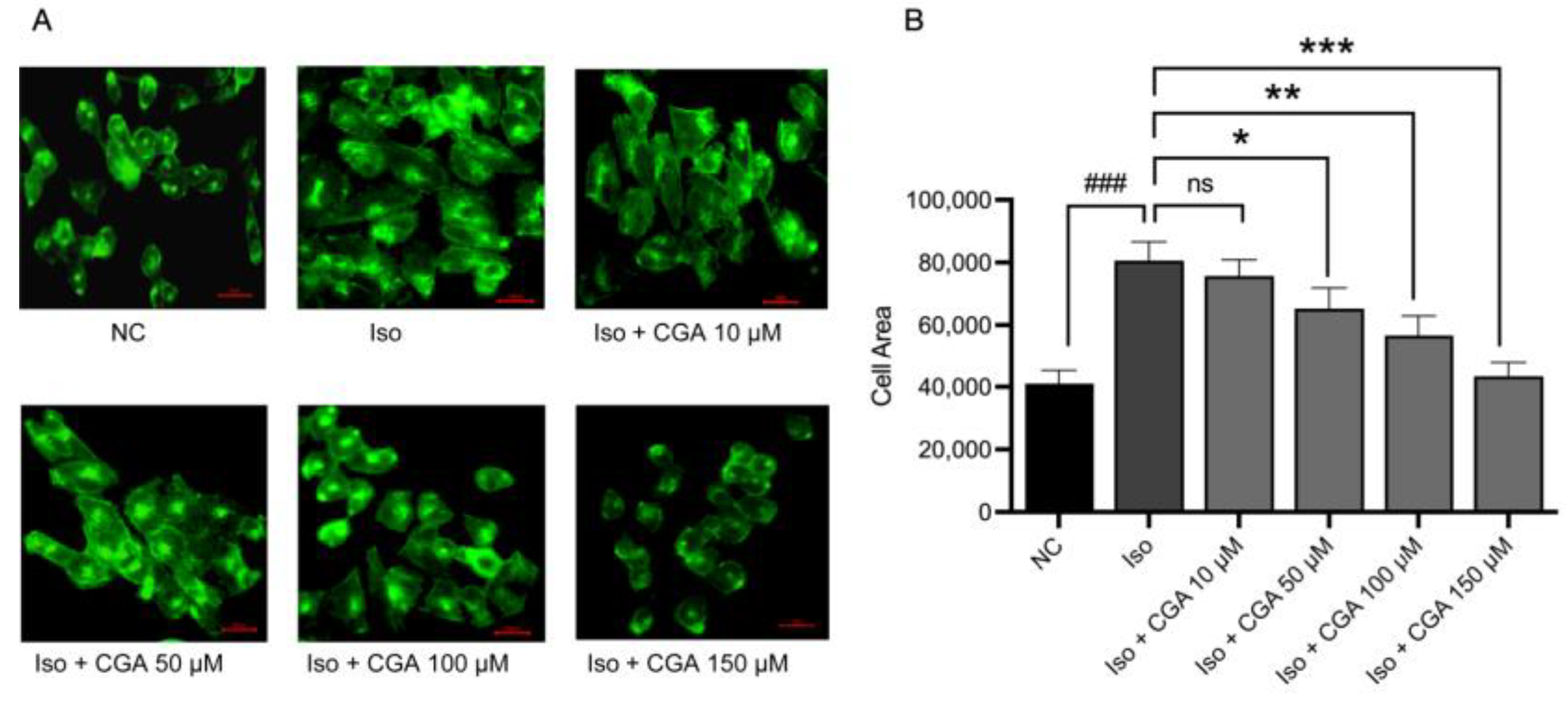 Molecules 29 00760 g002