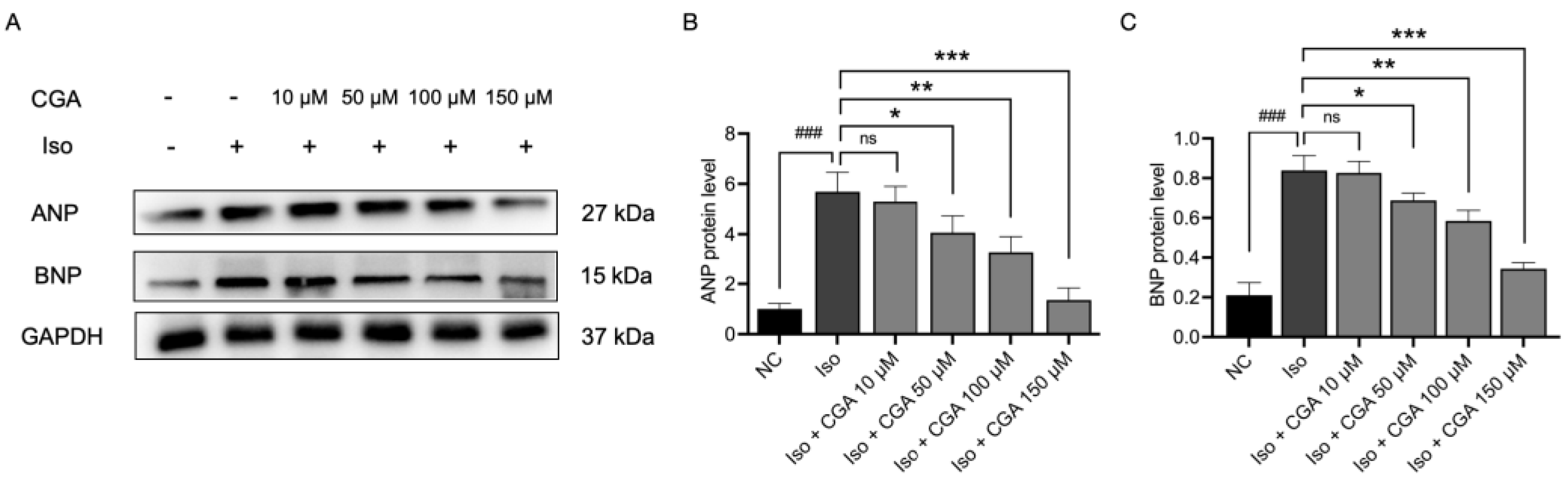Molecules 29 00760 g004
