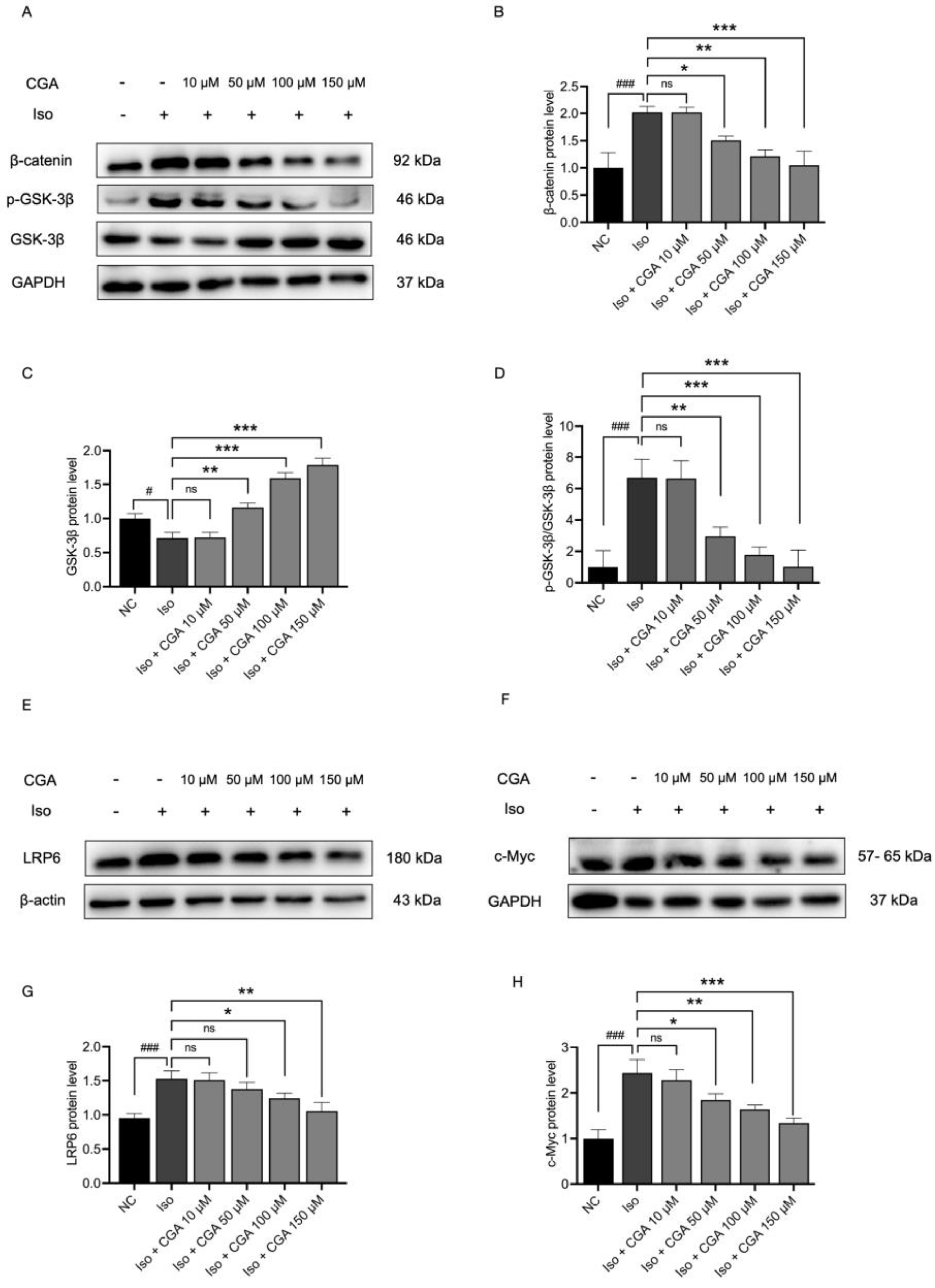Molecules 29 00760 g005