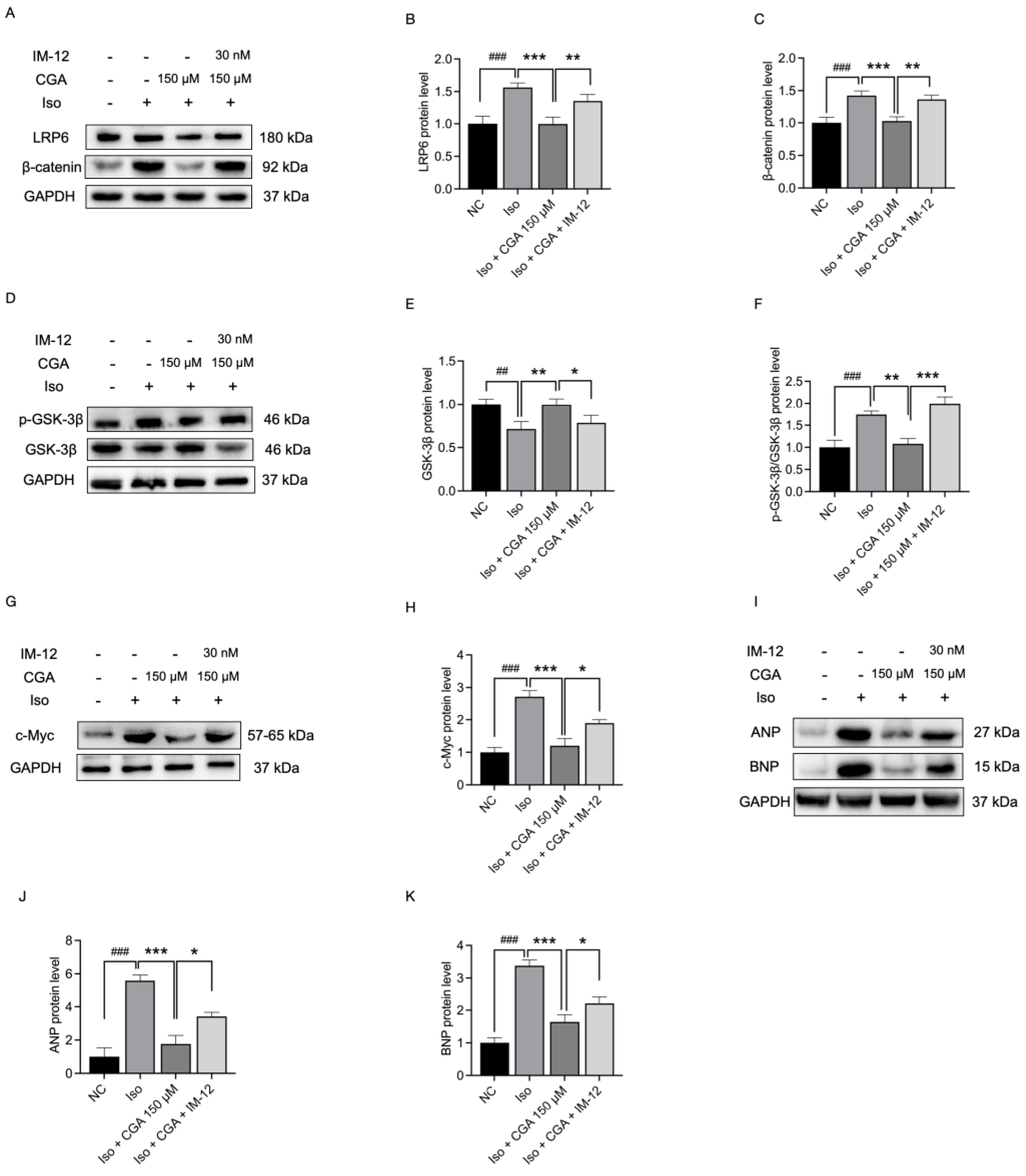 Molecules 29 00760 g006