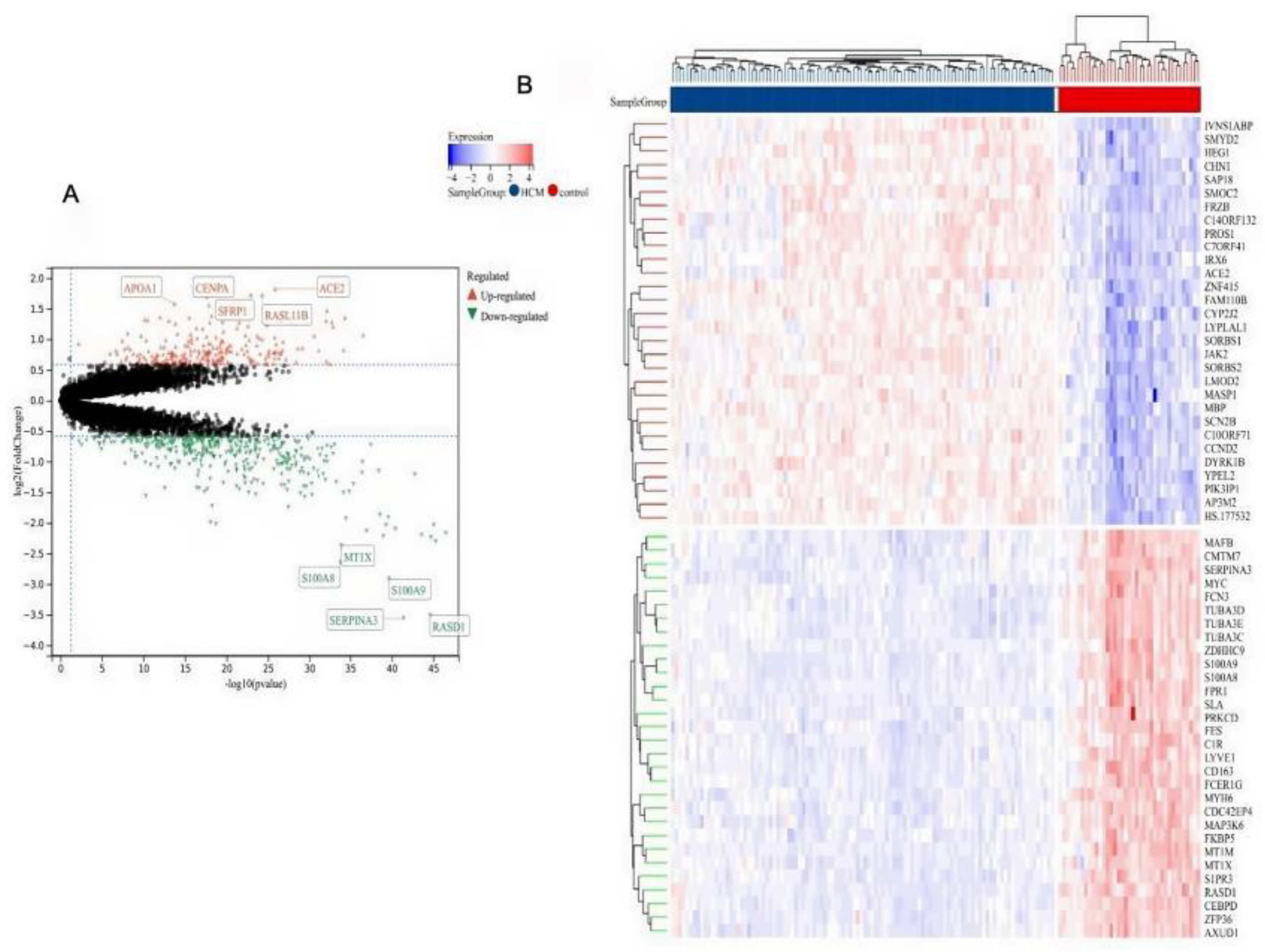 Molecules 29 00760 g007