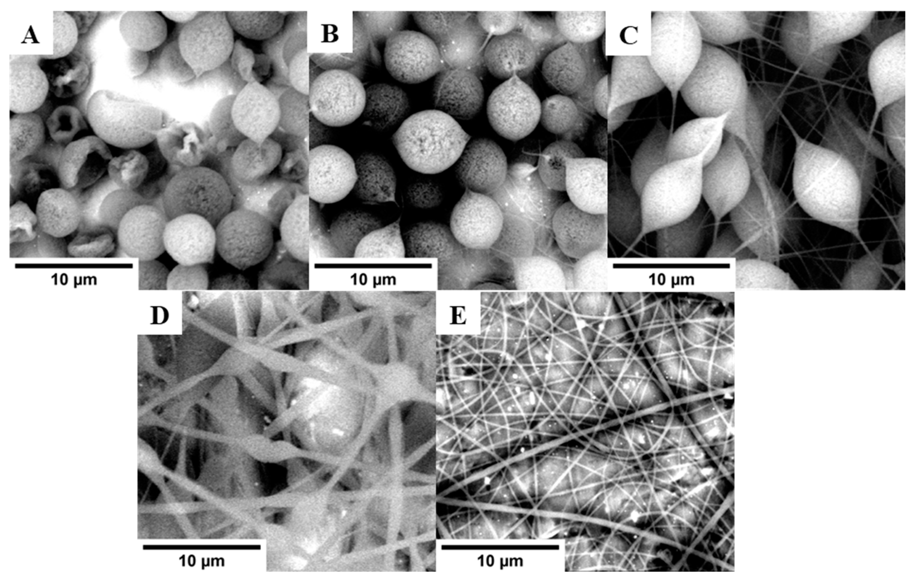 Molecules 29 00761 g003