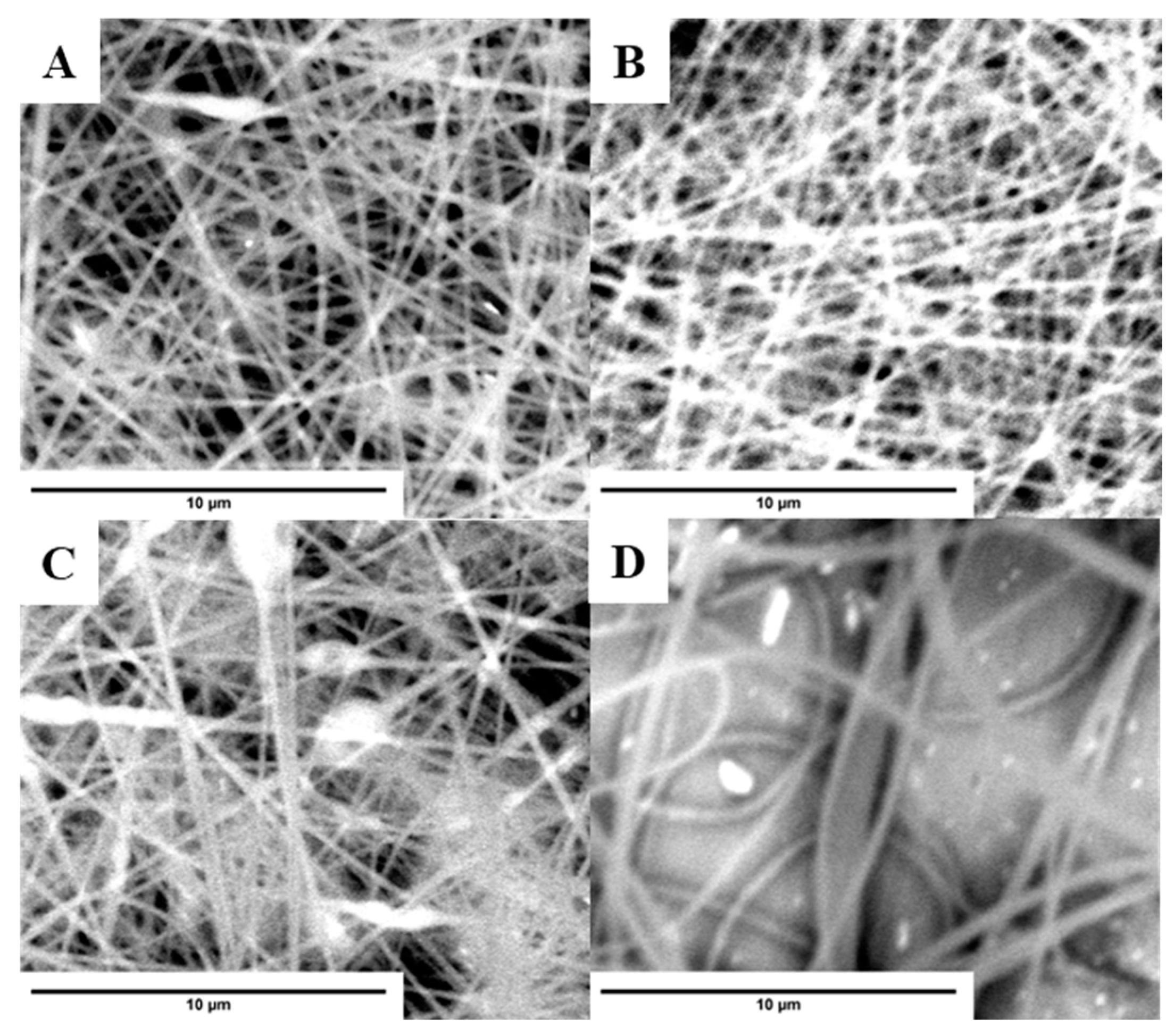 Molecules 29 00761 g004