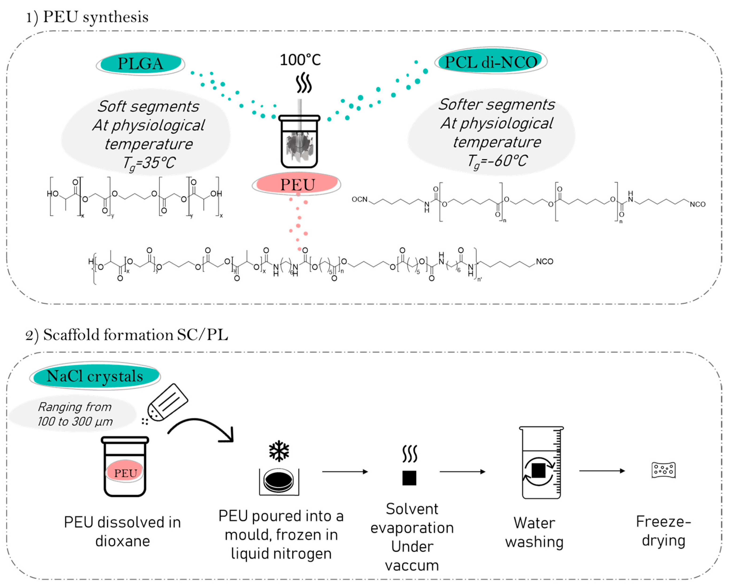 Molecules 29 00766 g001