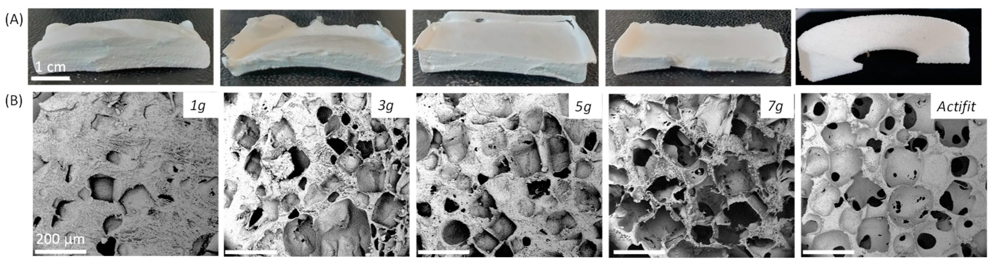 Molecules 29 00766 g004
