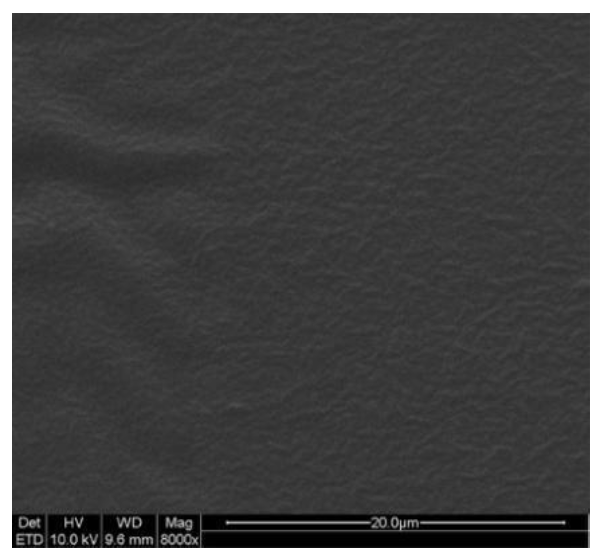 Molecules 29 00767 g004