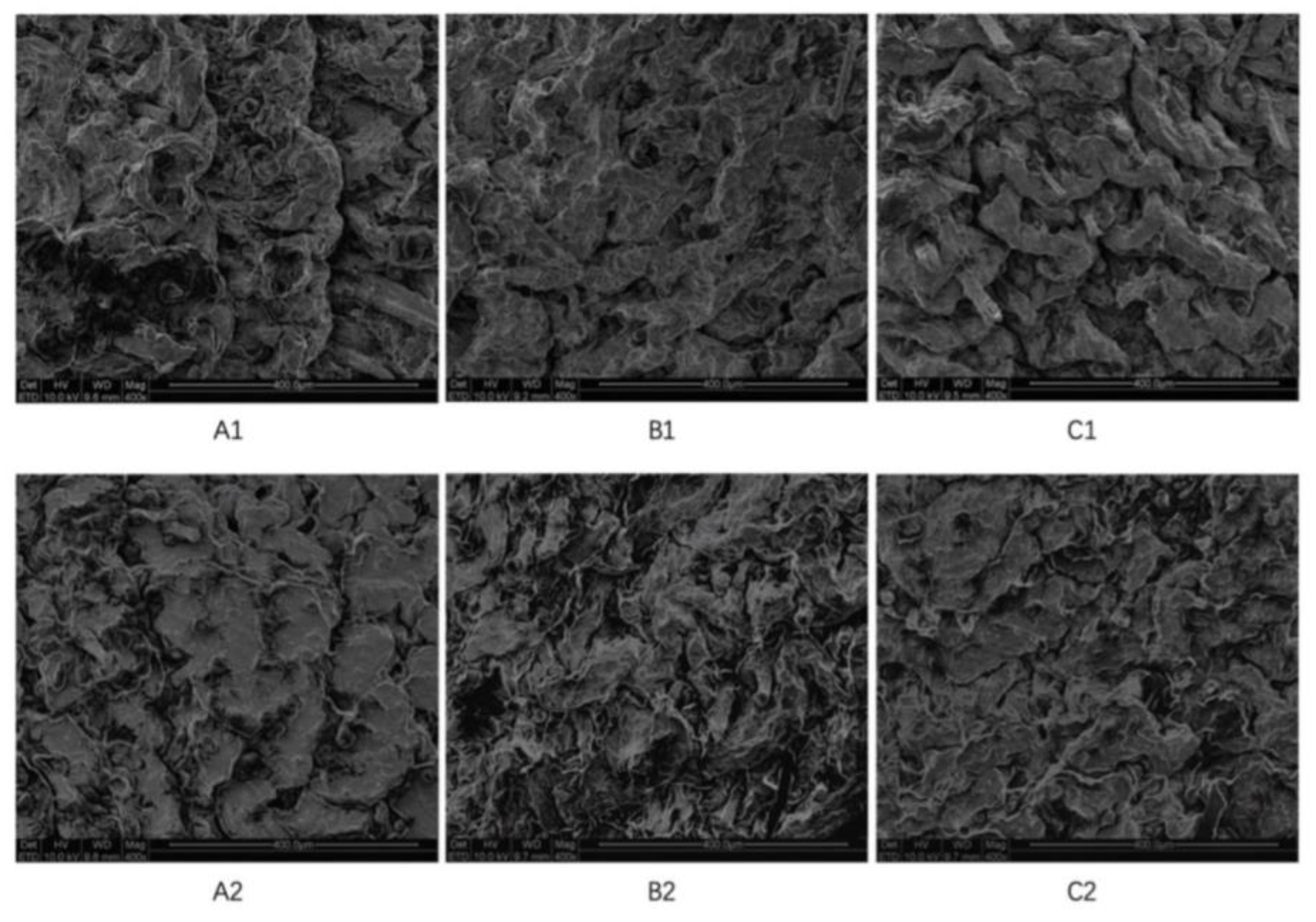 Molecules 29 00767 g007