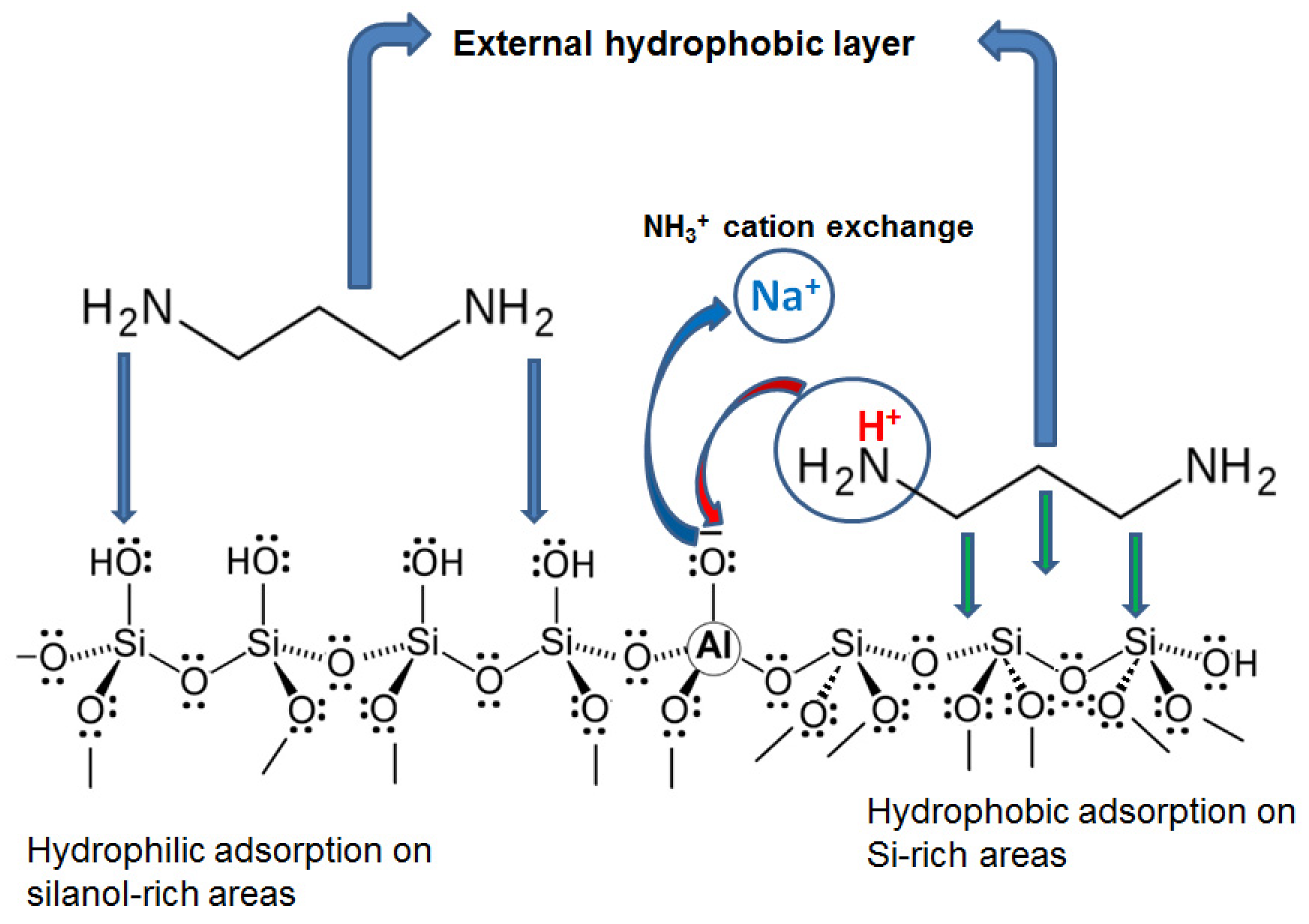 Molecules 29 00768 sch001