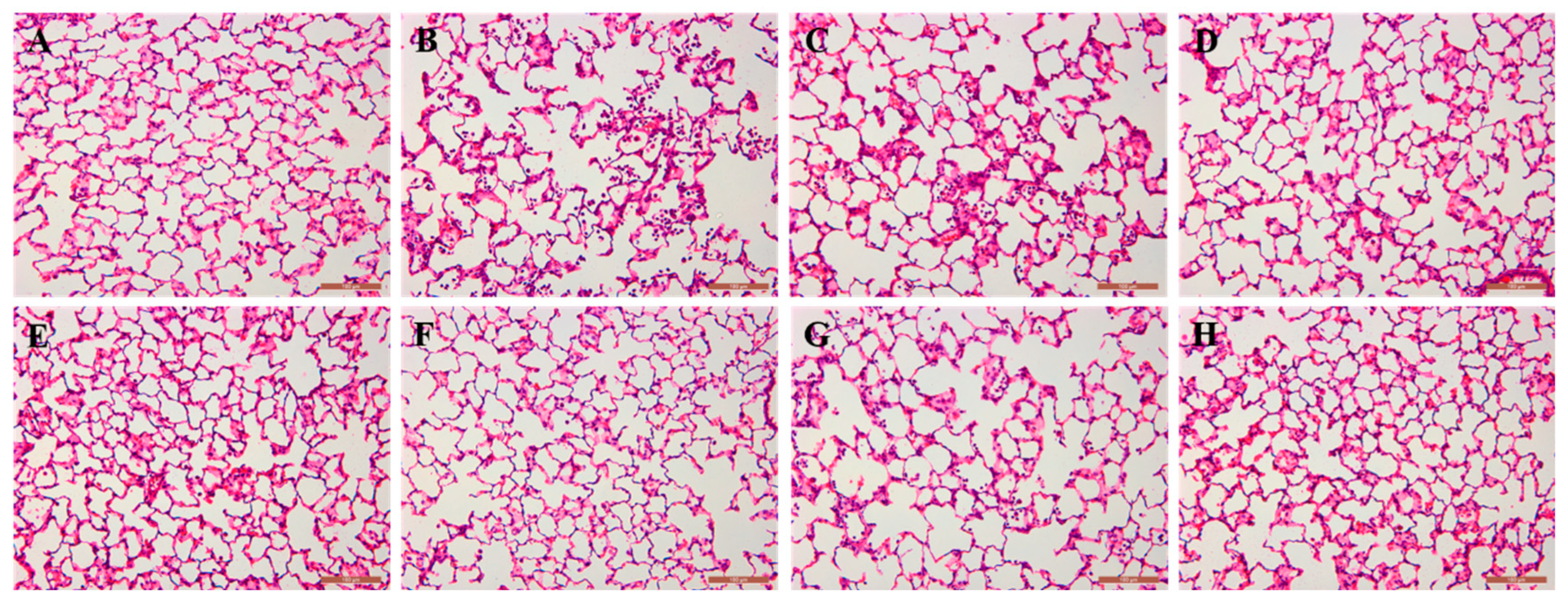 Molecules 29 00770 g009
