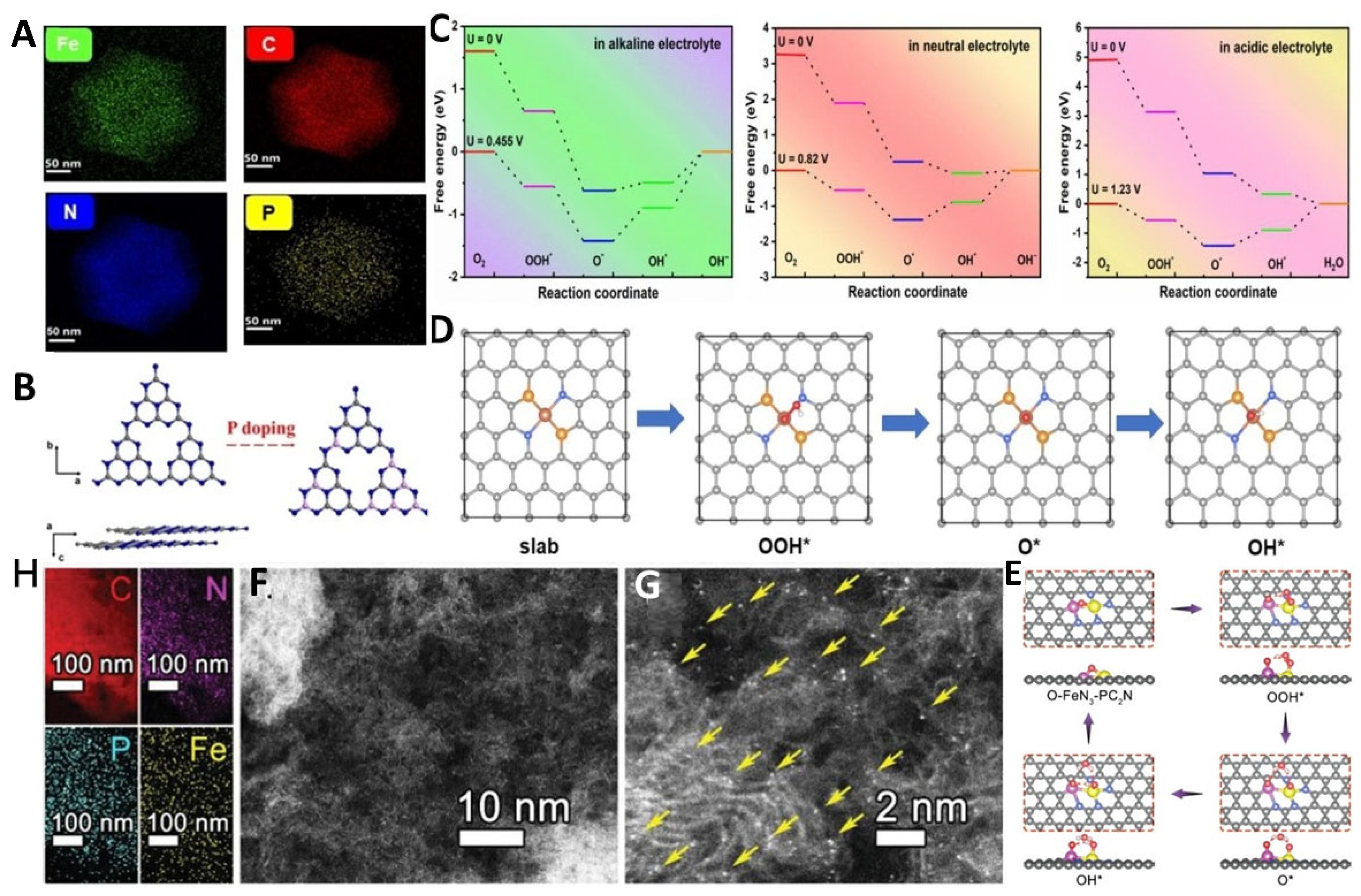Molecules 29 00771 g006