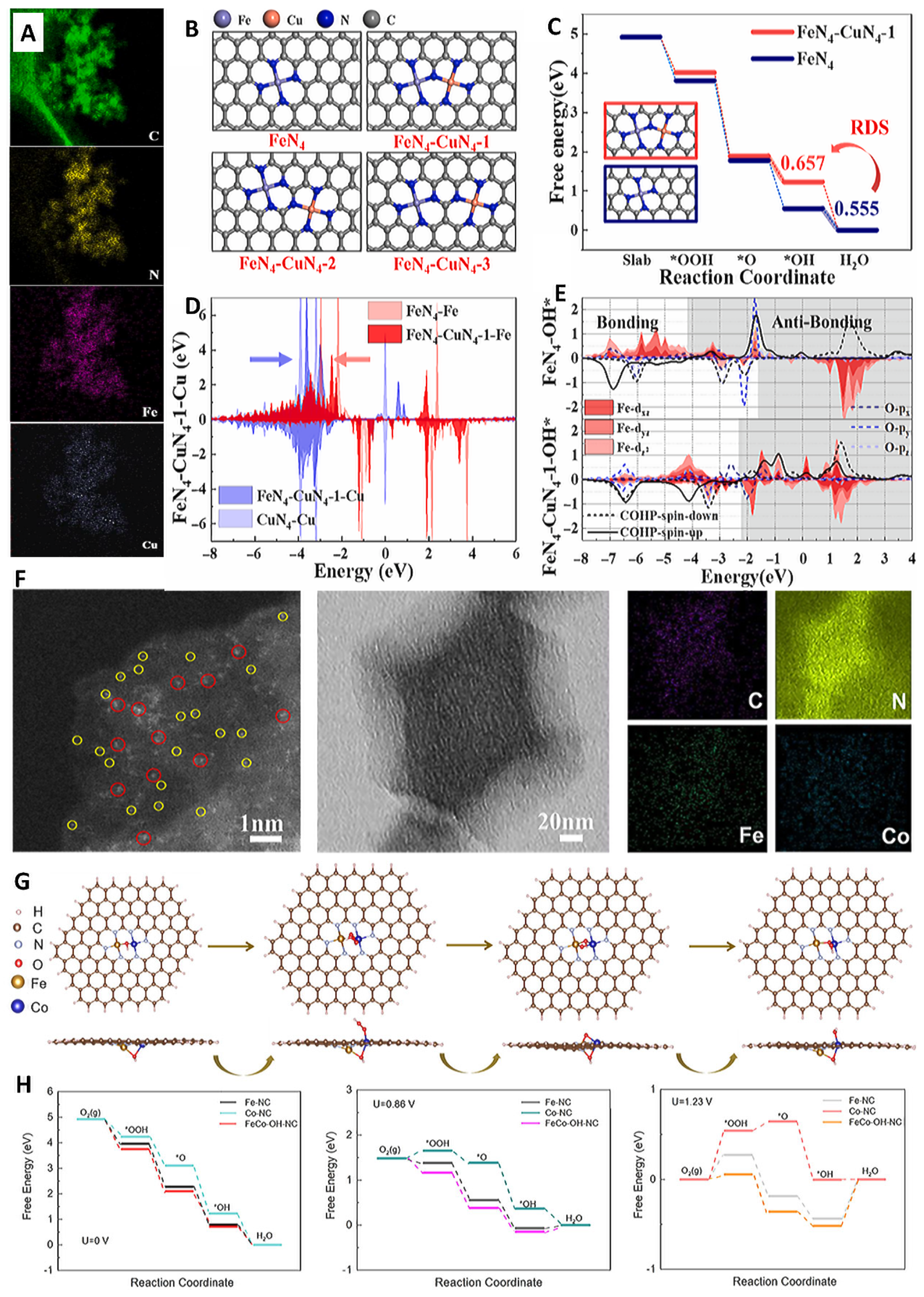 Molecules 29 00771 g009