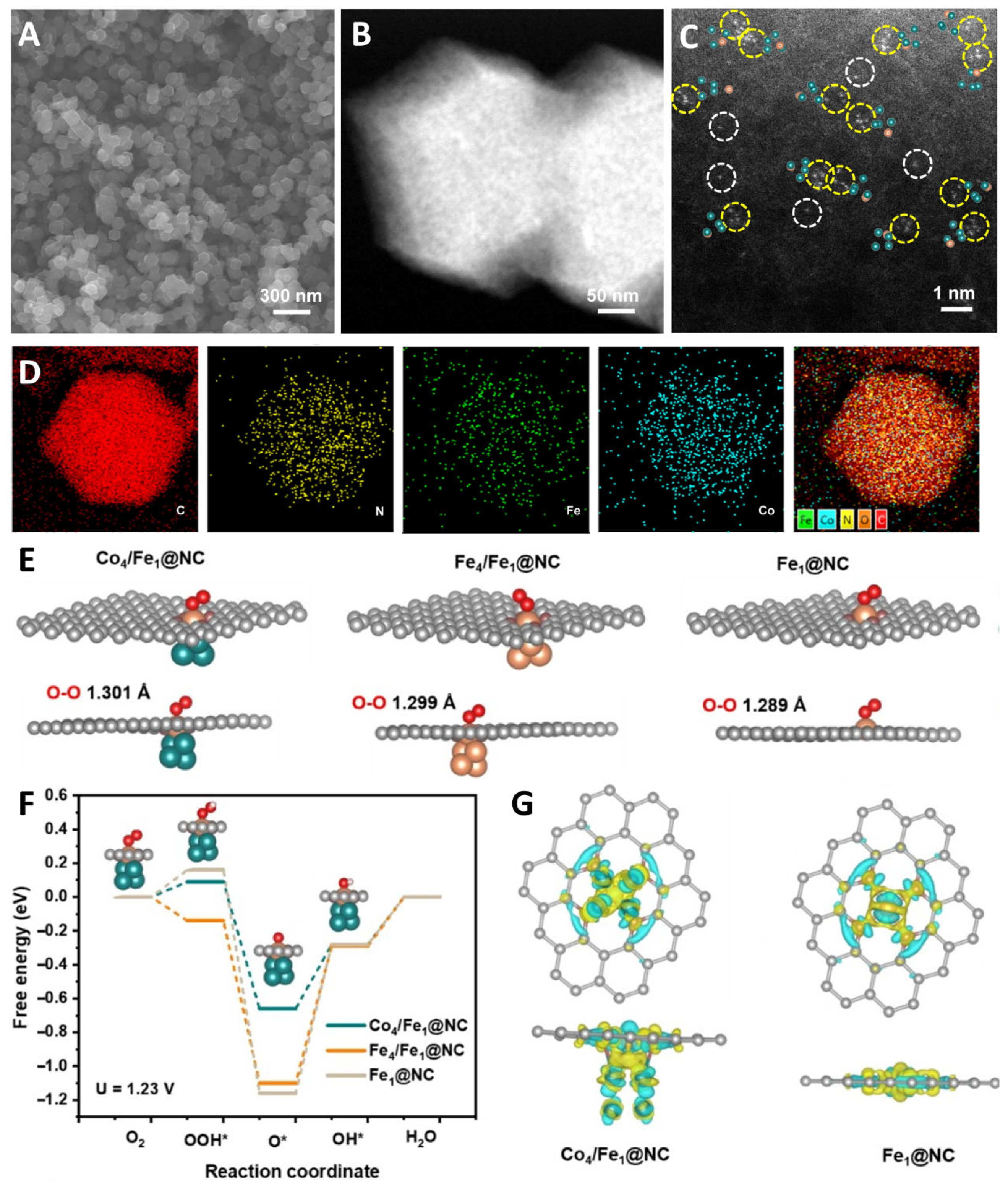 Molecules 29 00771 g011