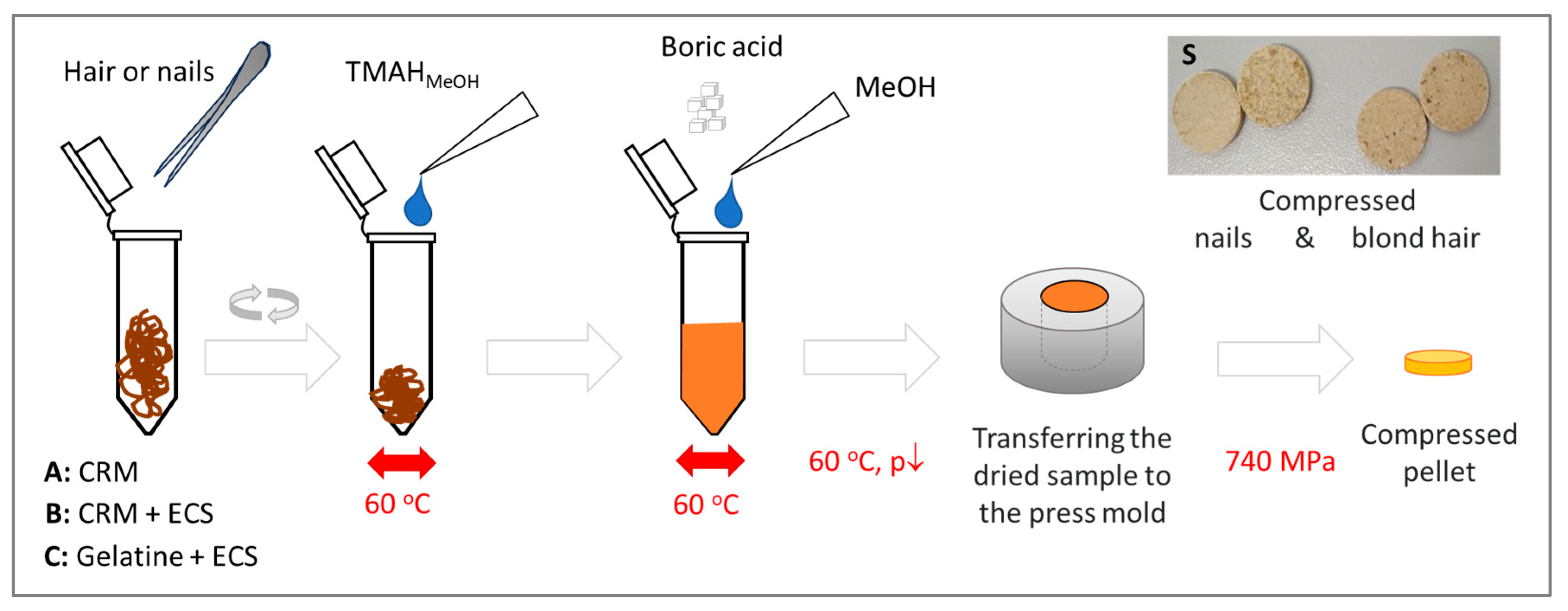 Molecules 29 00773 g007