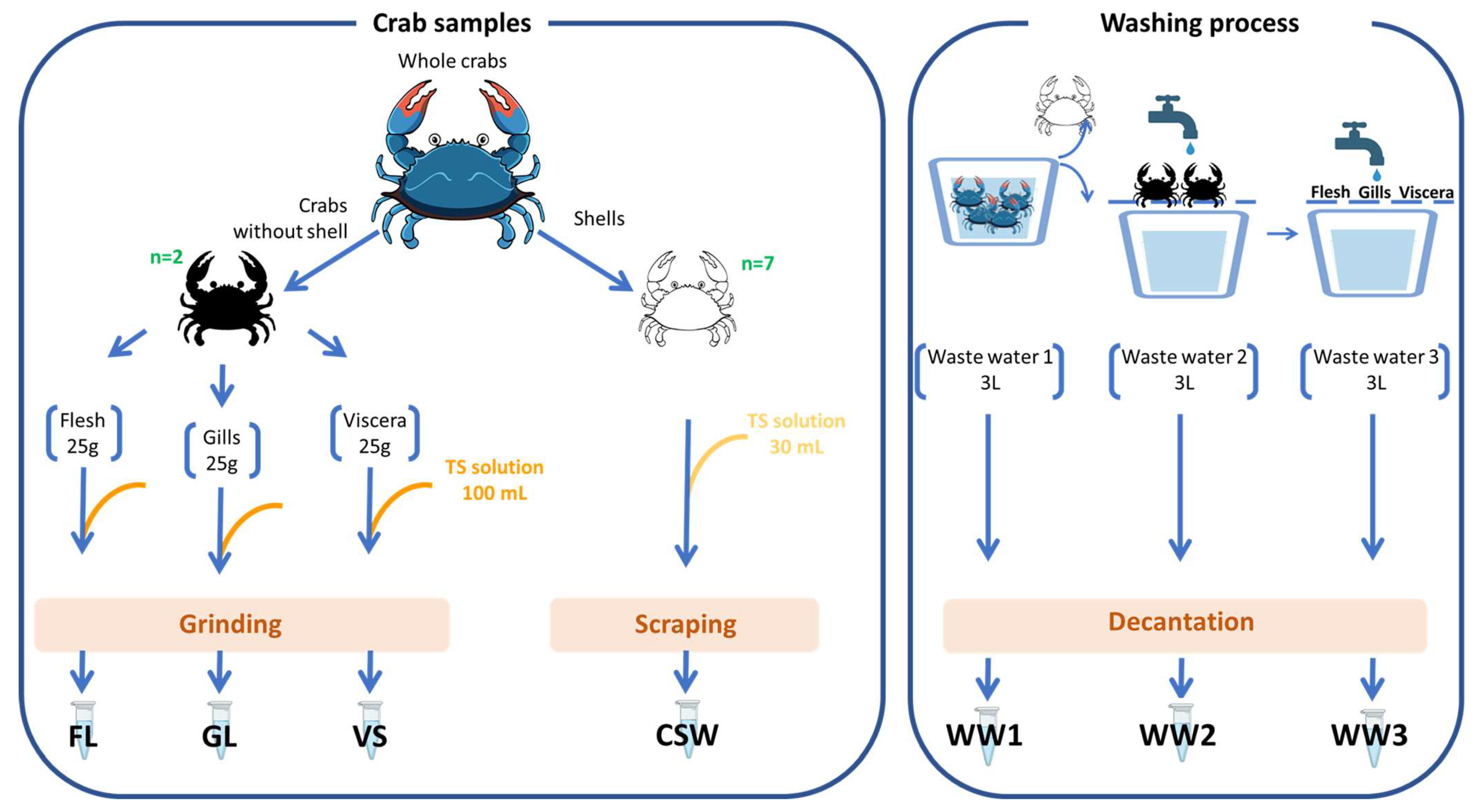 Molecules 29 00774 g005