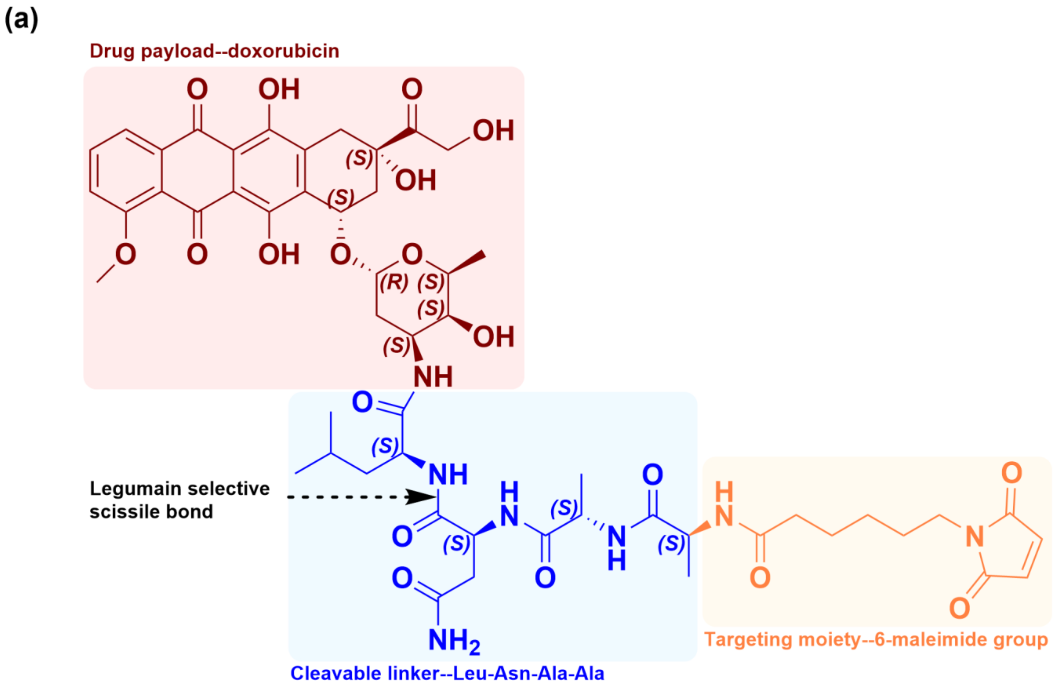 Molecules 29 00775 g001a