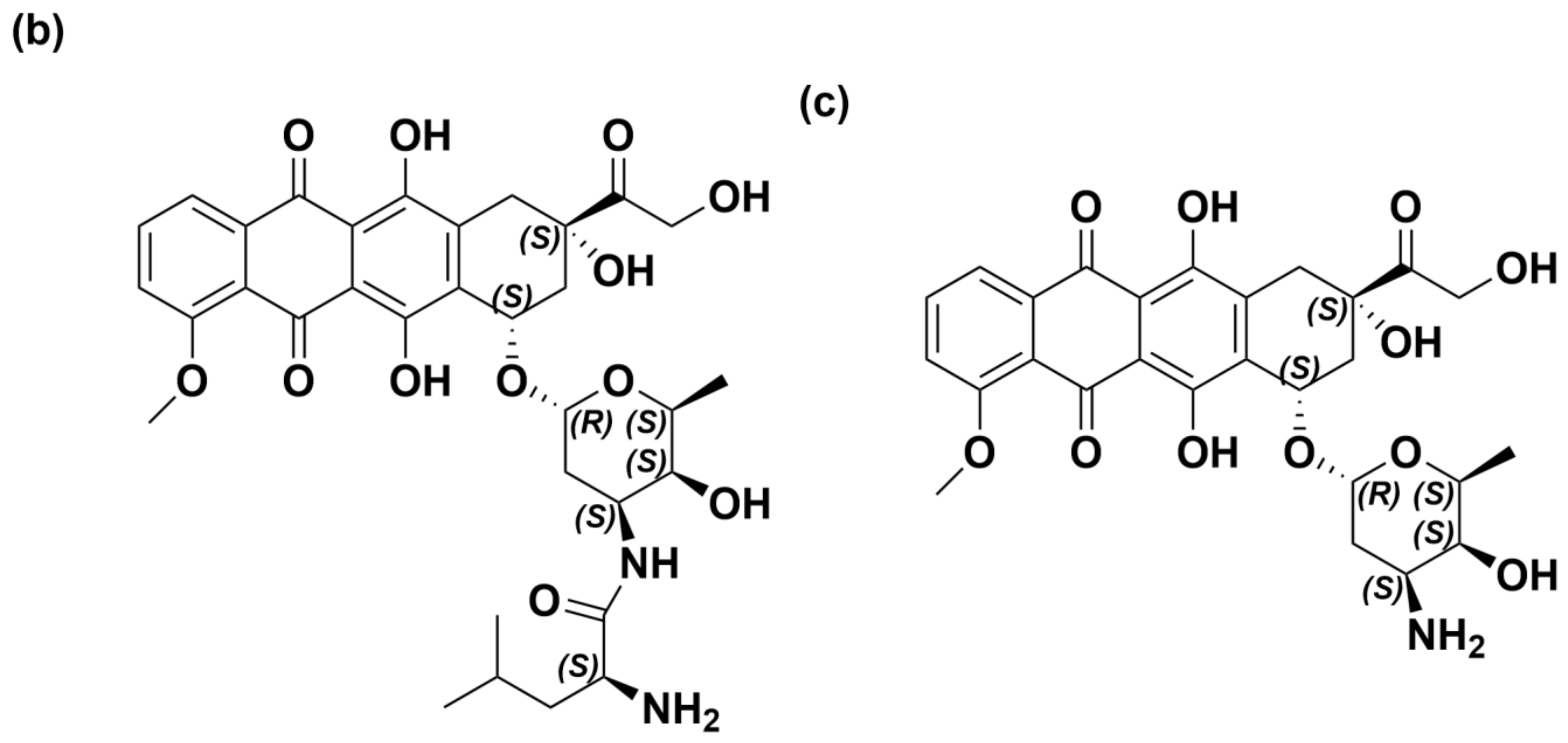 Molecules 29 00775 g001b