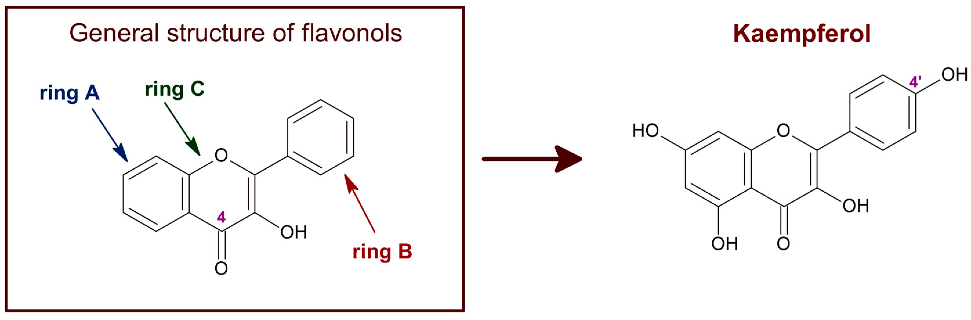Molecules 29 00776 g001 Molecules 29 00776 g001
