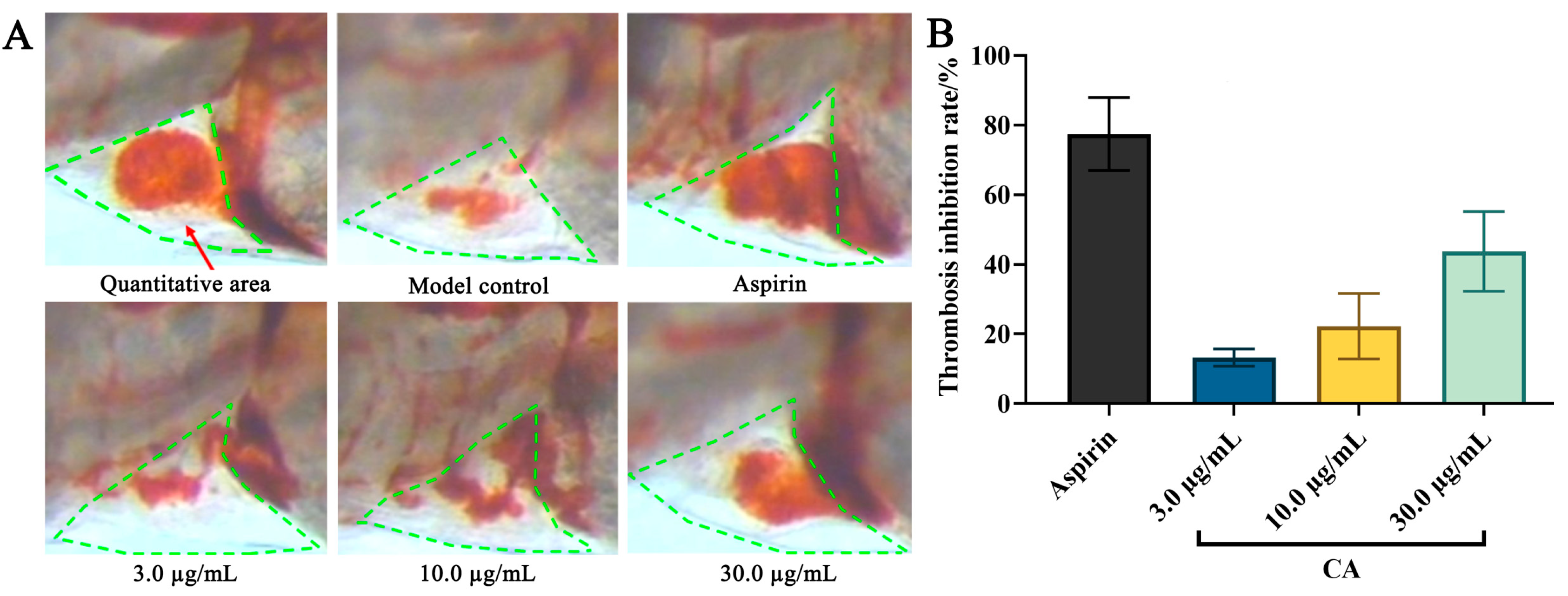 Molecules 29 00780 g002
