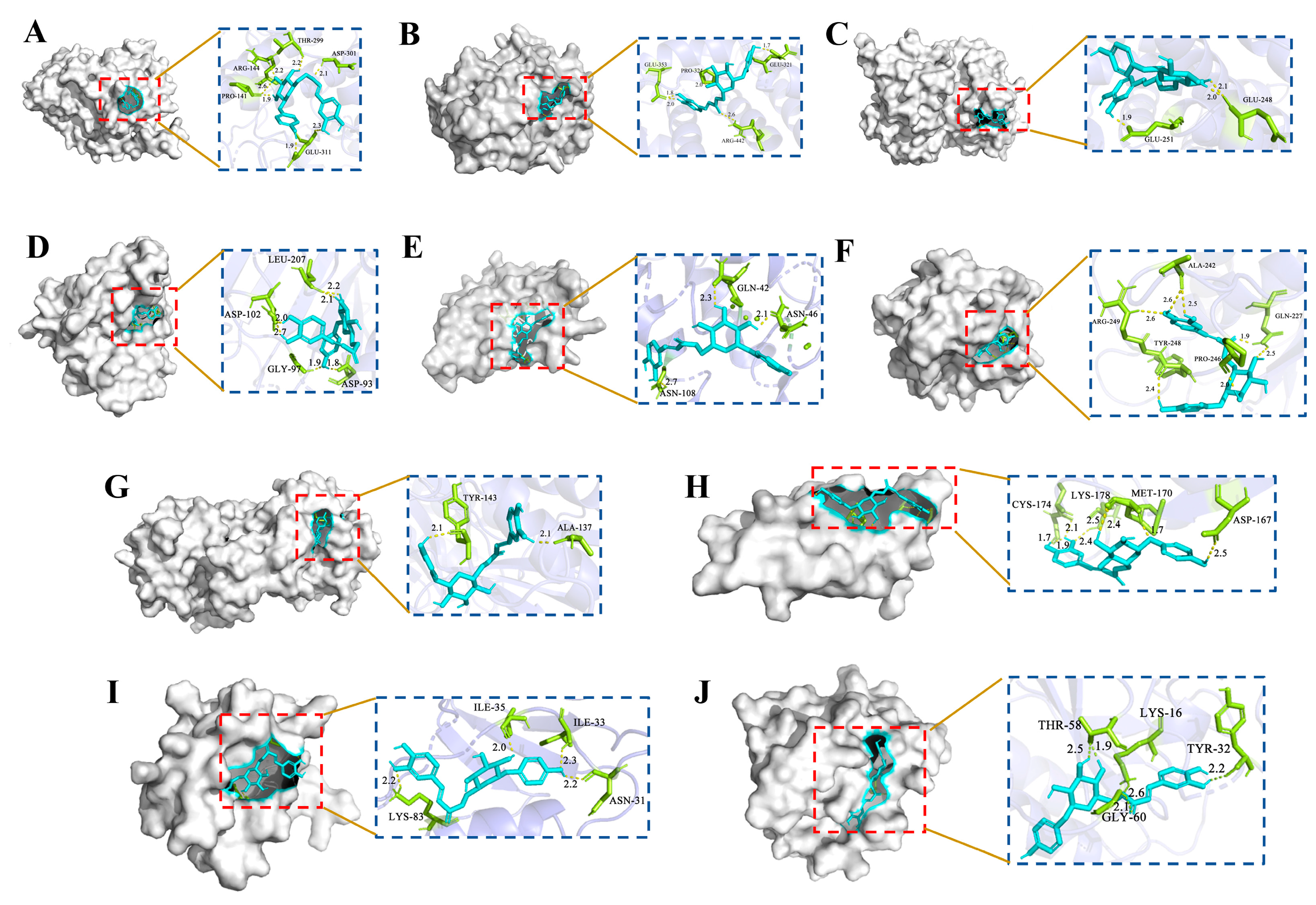 Molecules 29 00780 g006