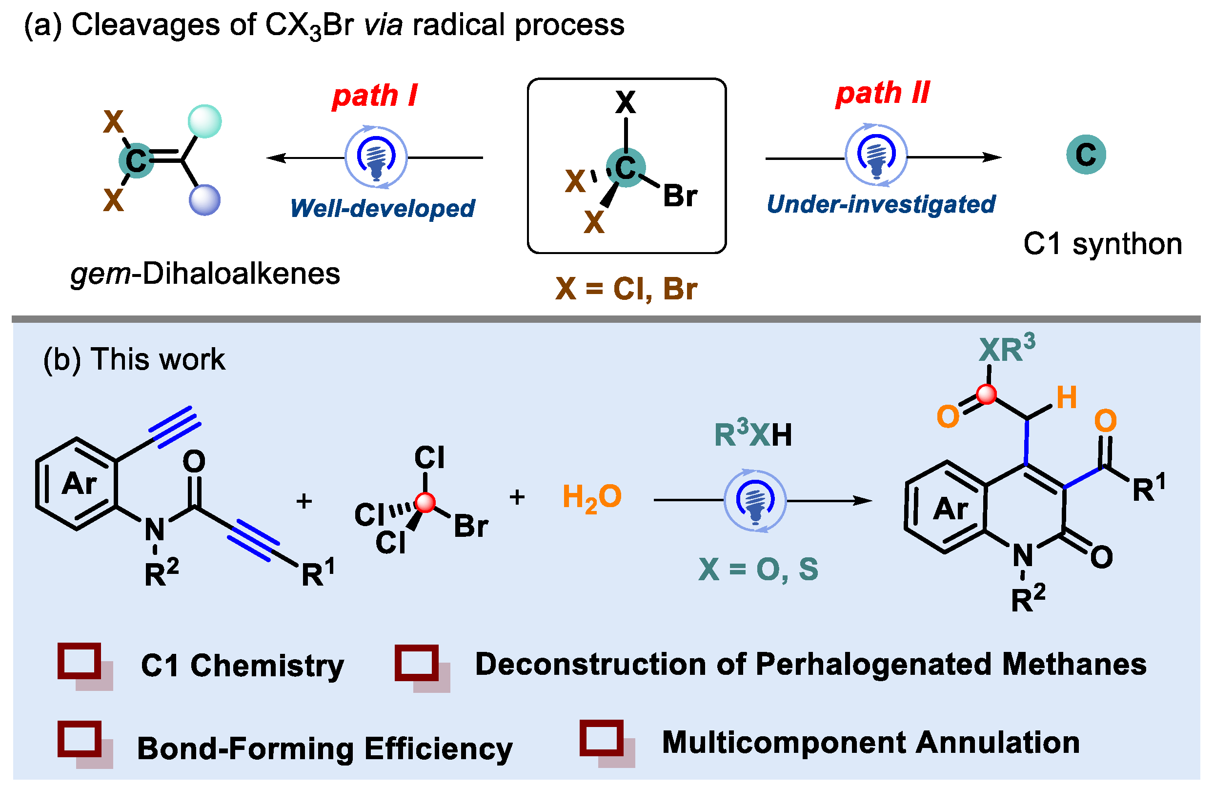 Molecules 29 00782 sch001