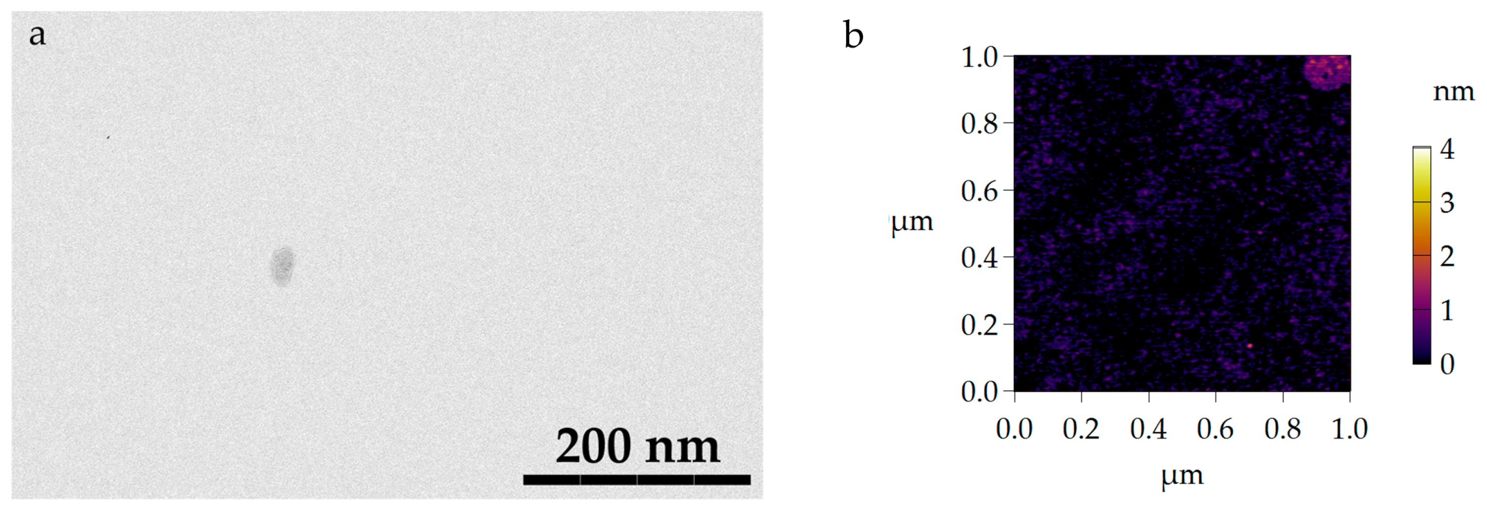 Molecules 29 00793 g0a1 Molecules 29 00793 g0a1