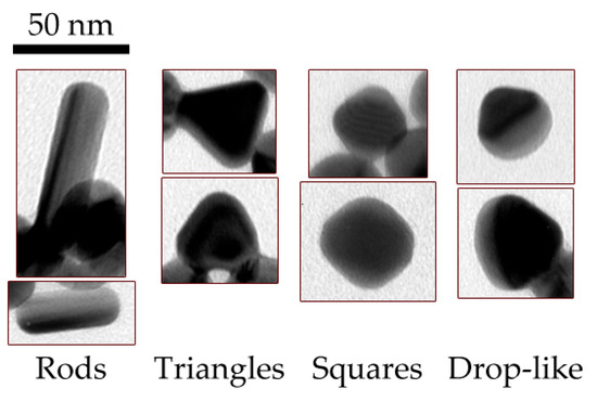 Molecules 29 00793 g0a4