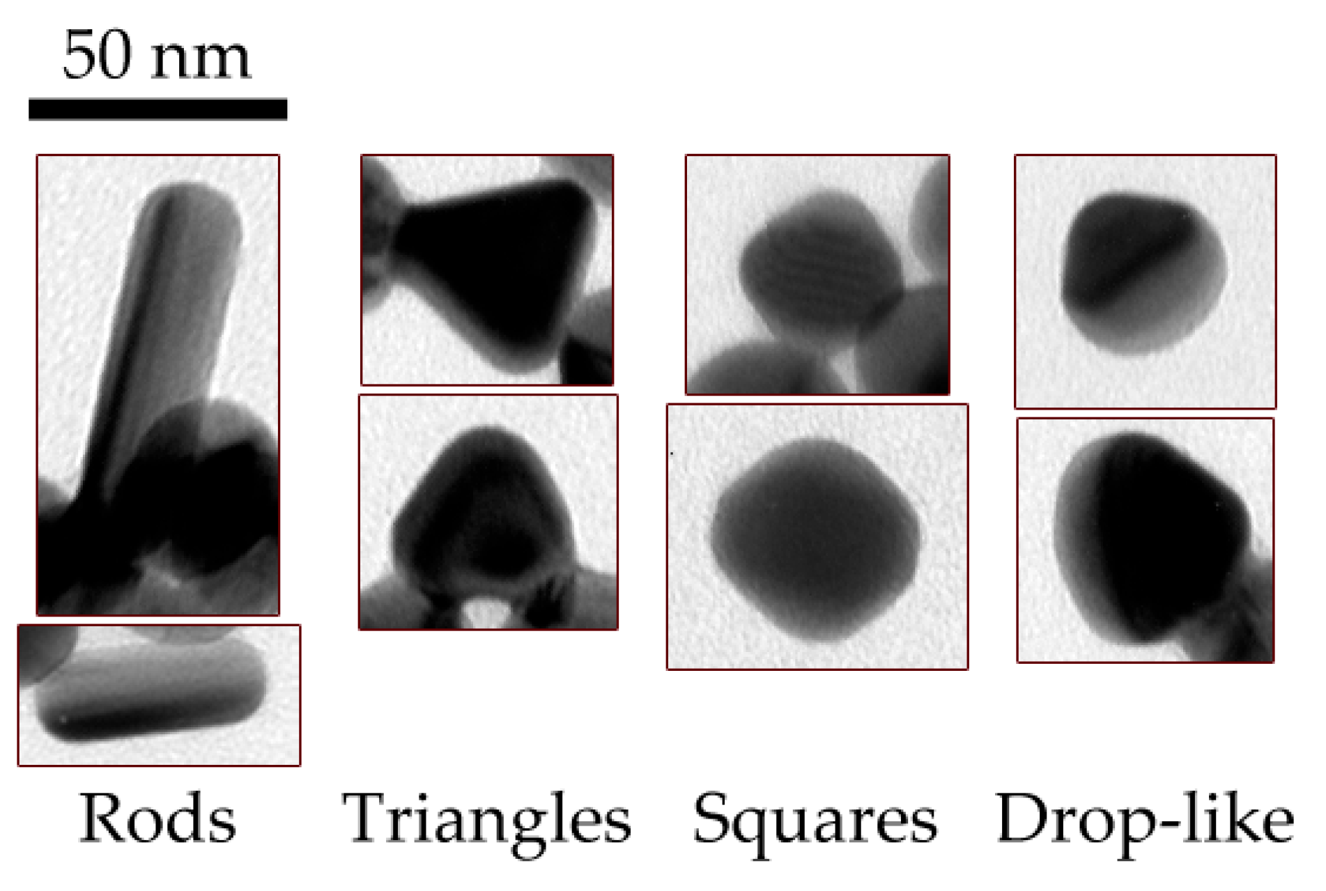 Molecules 29 00793 g0a4 Molecules 29 00793 g0a4