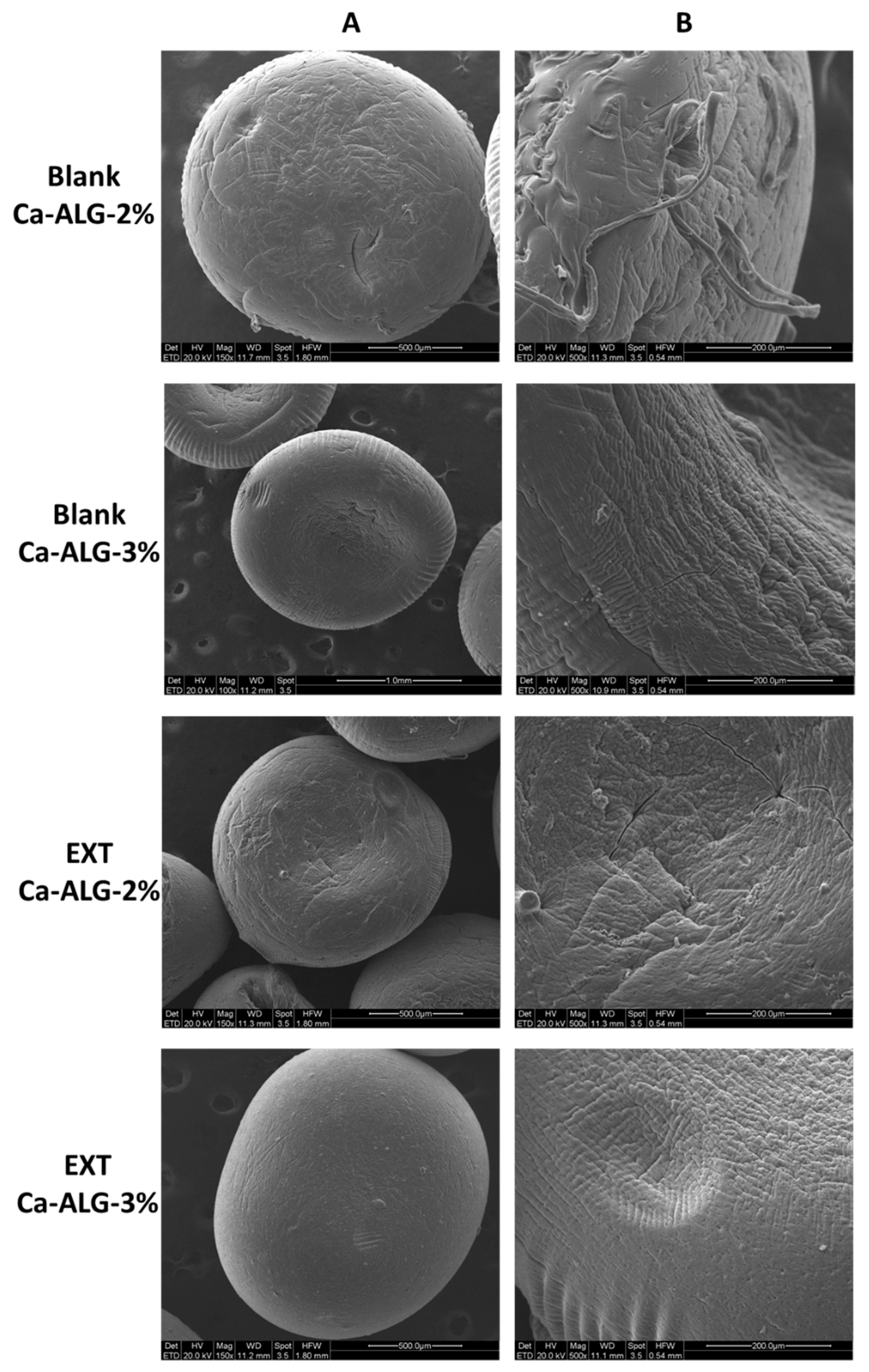 Molecules 29 00797 g002