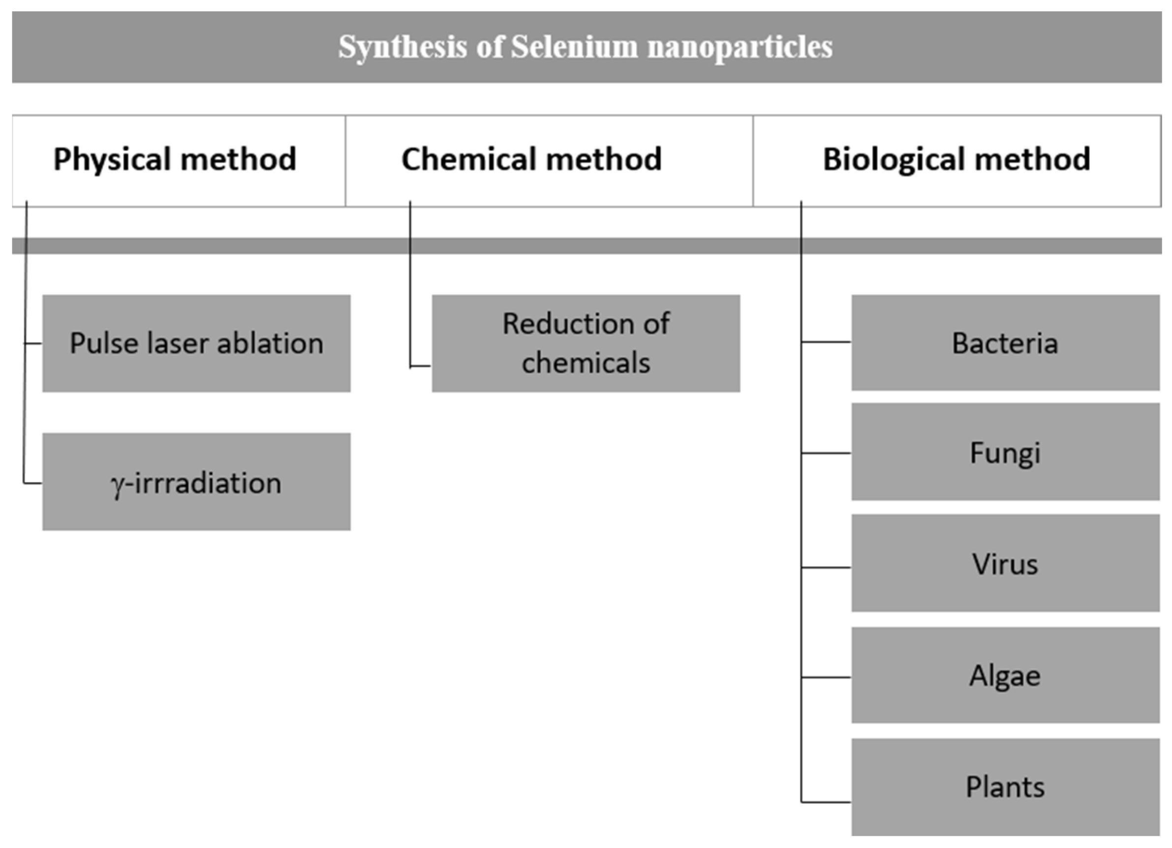 Molecules 29 00801 g002