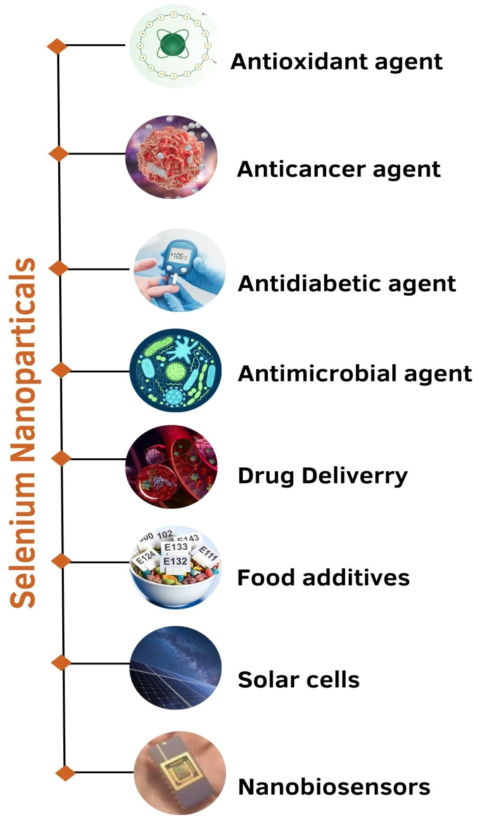 Molecules 29 00801 g004