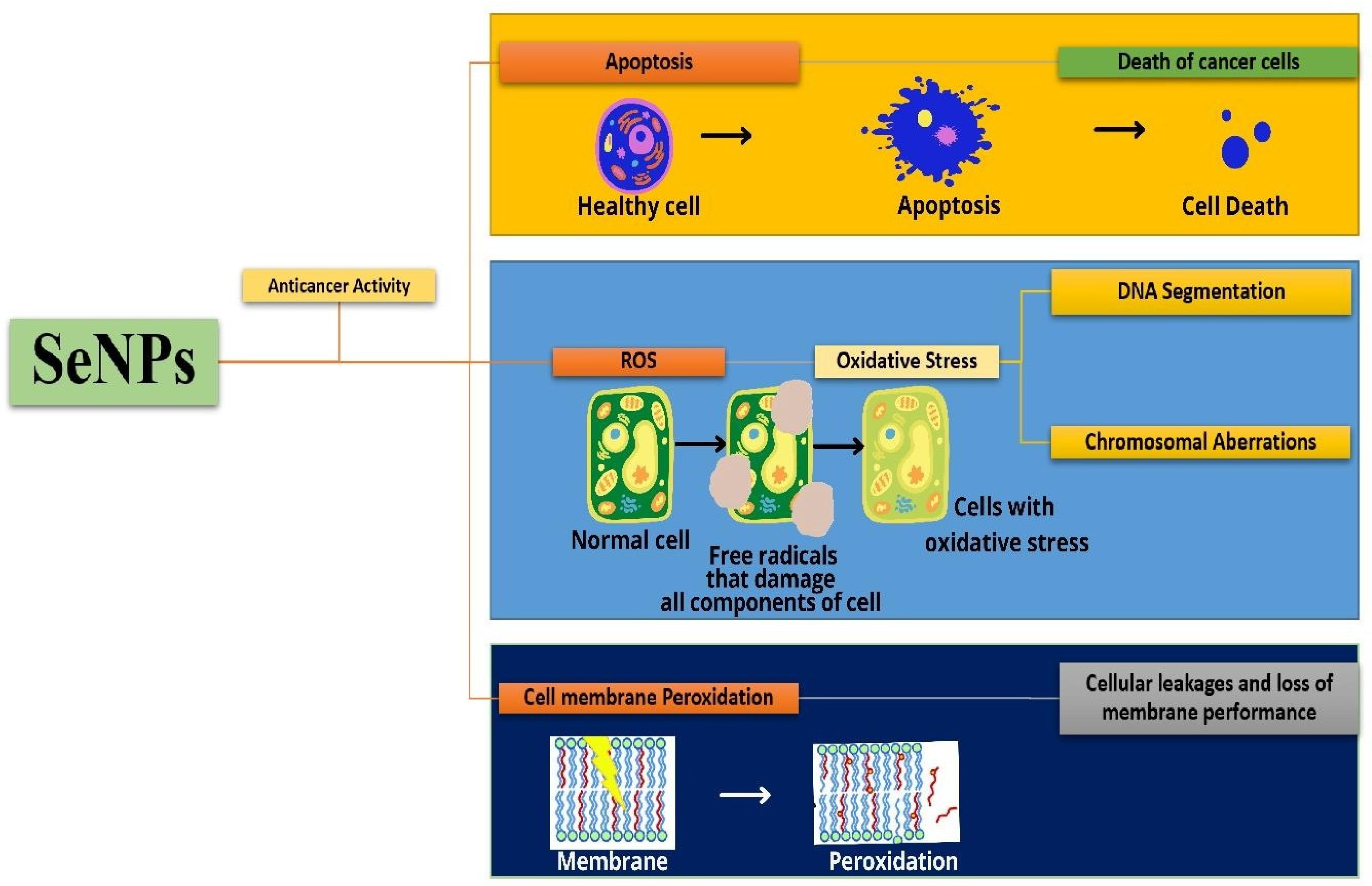 Molecules 29 00801 g013