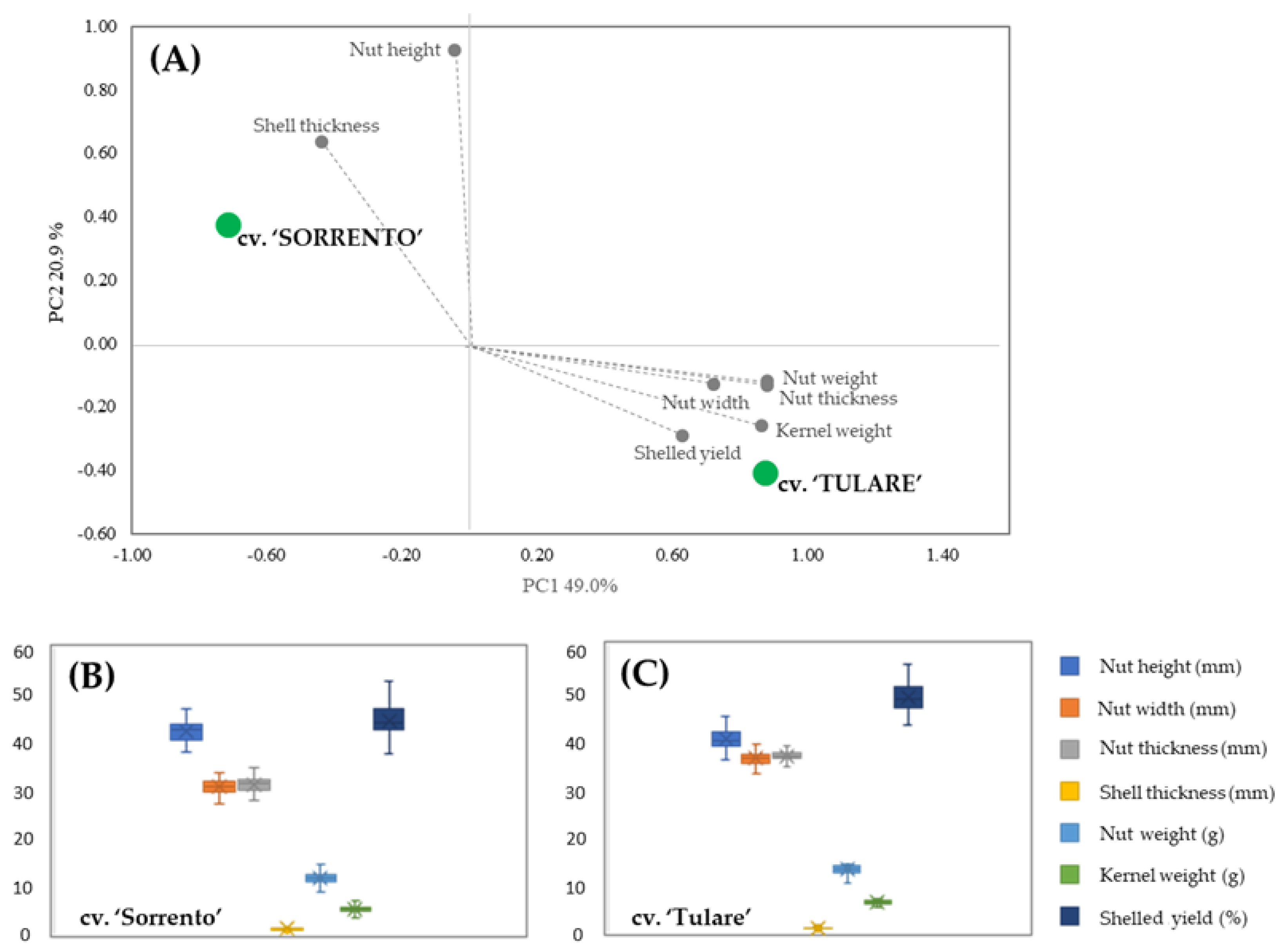Molecules 29 00805 g001