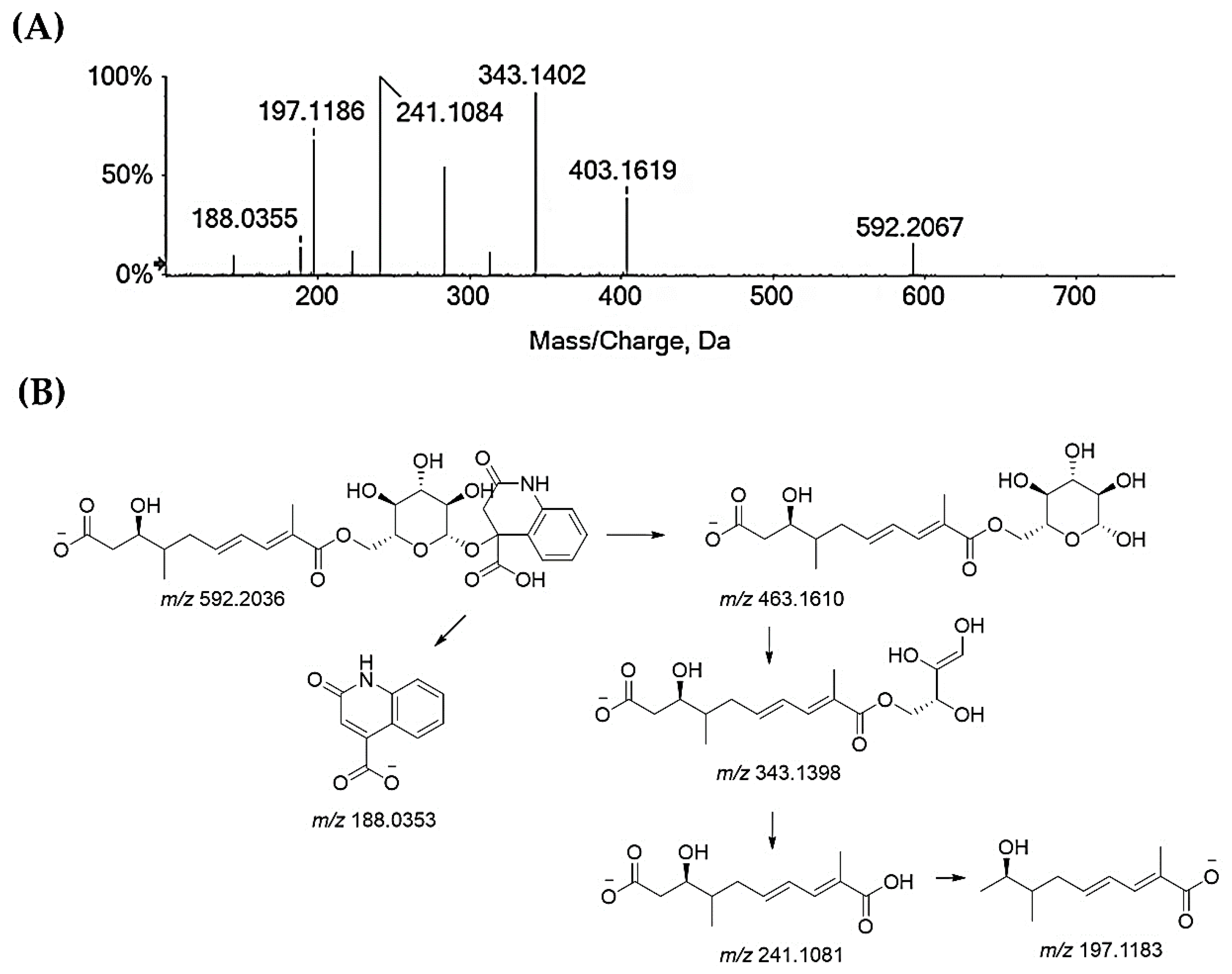 Molecules 29 00805 g005