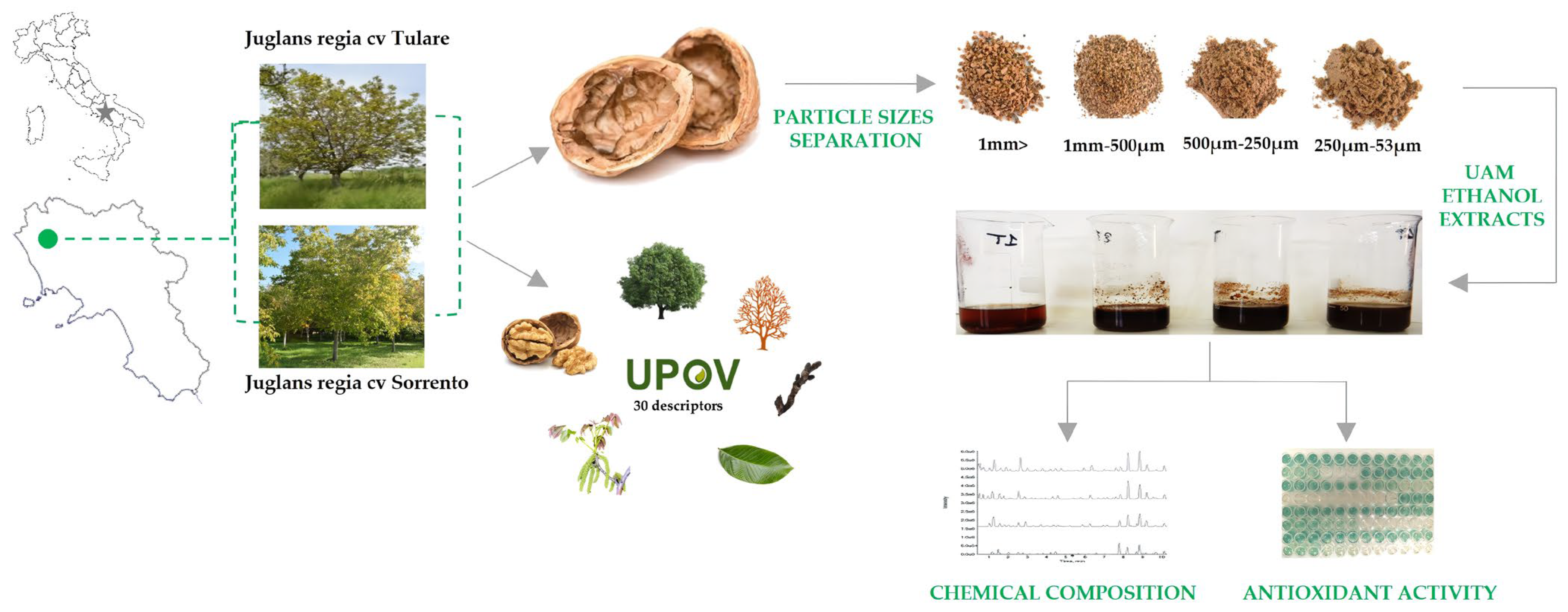 Molecules 29 00805 g007