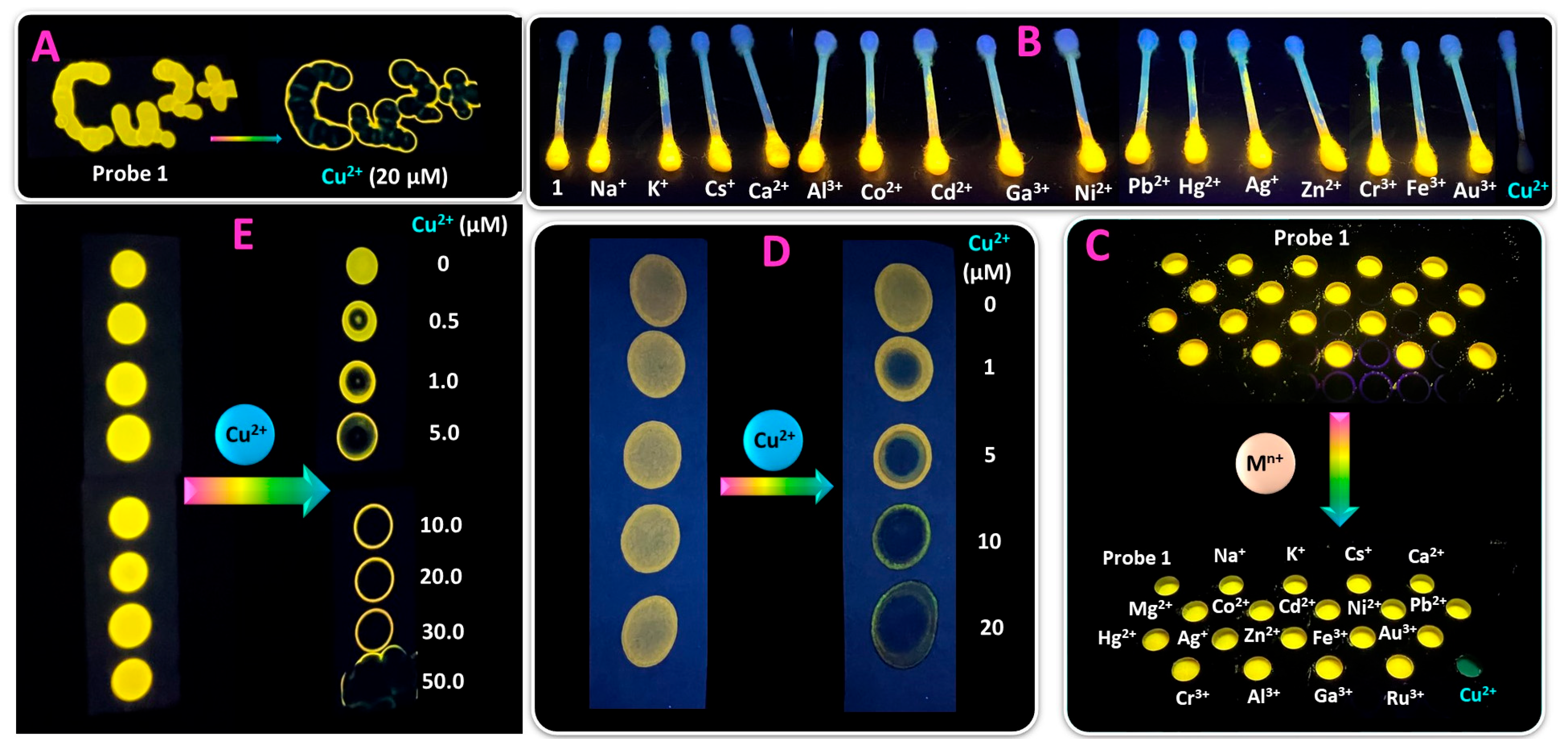 Molecules 29 00808 g008