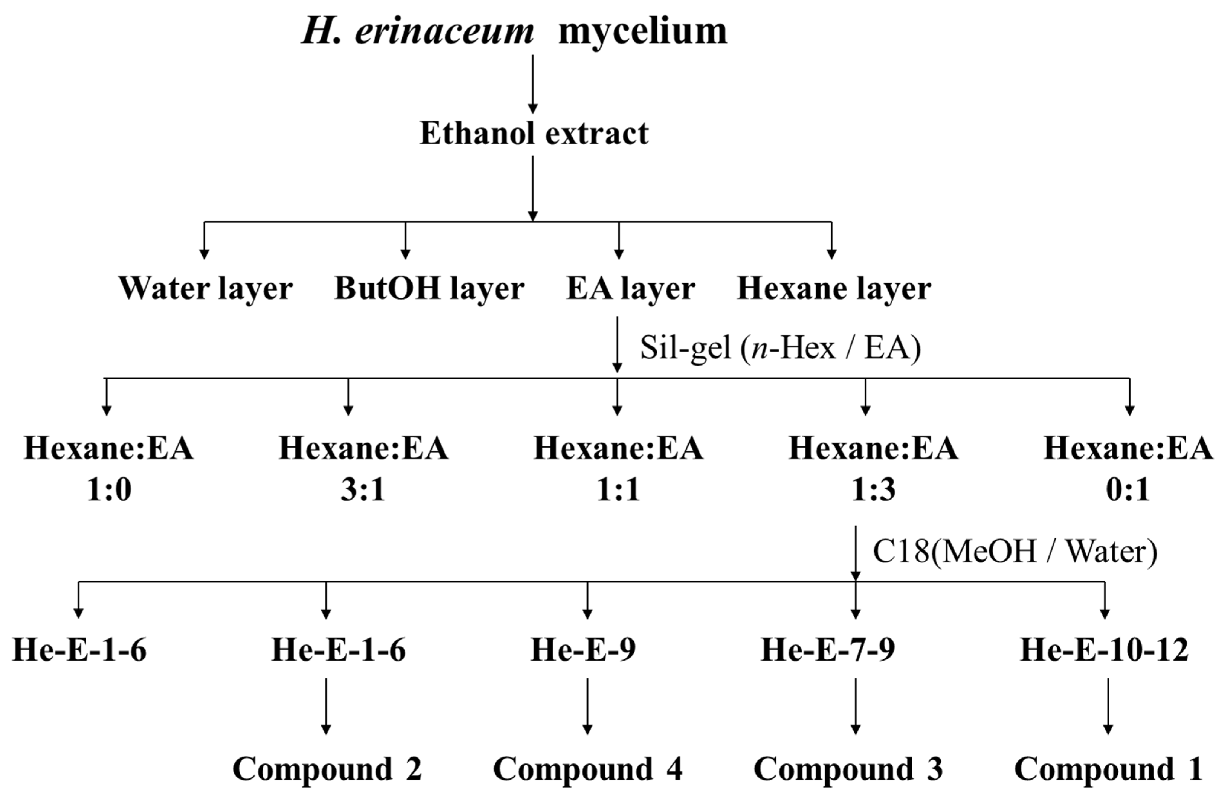 Molecules 29 00812 g006