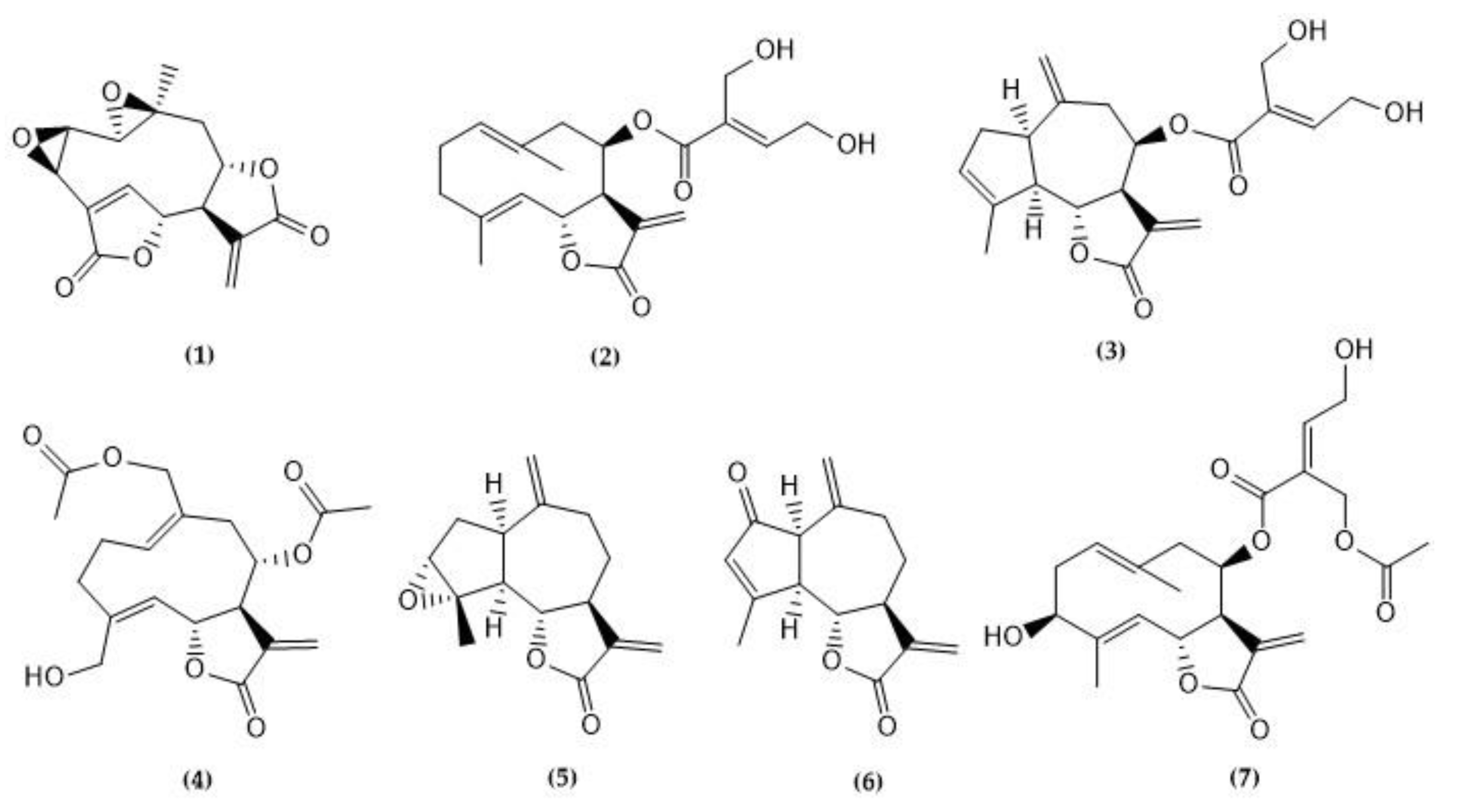 Molecules 29 00814 g001