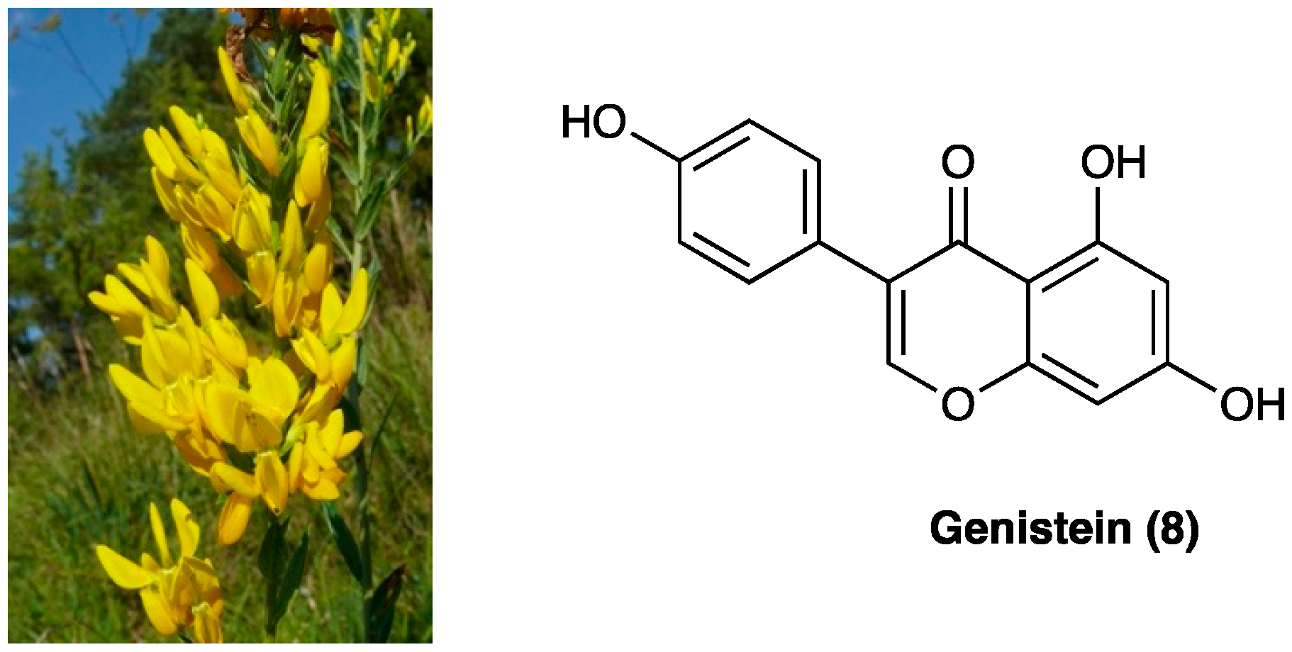 Molecules 29 00815 g006