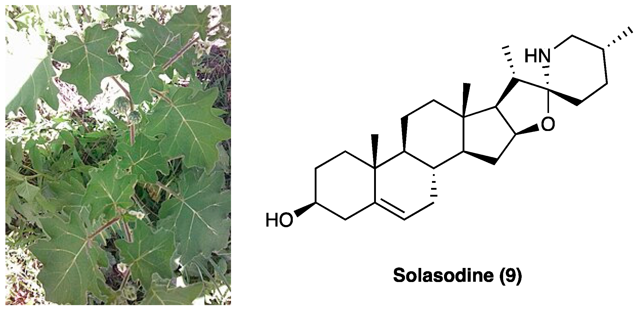 Molecules 29 00815 g007